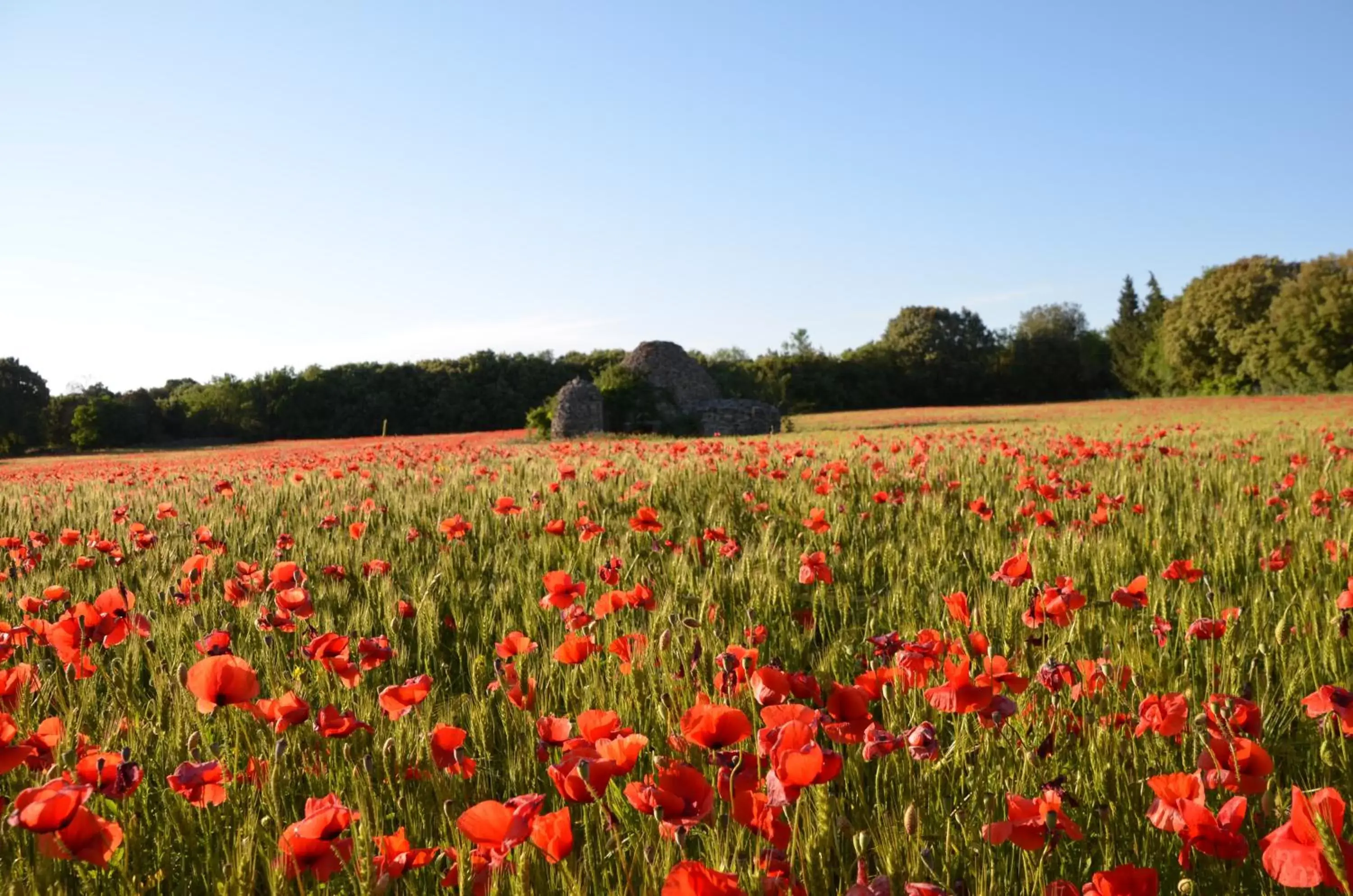 Natural landscape in Le Clos De Pradines