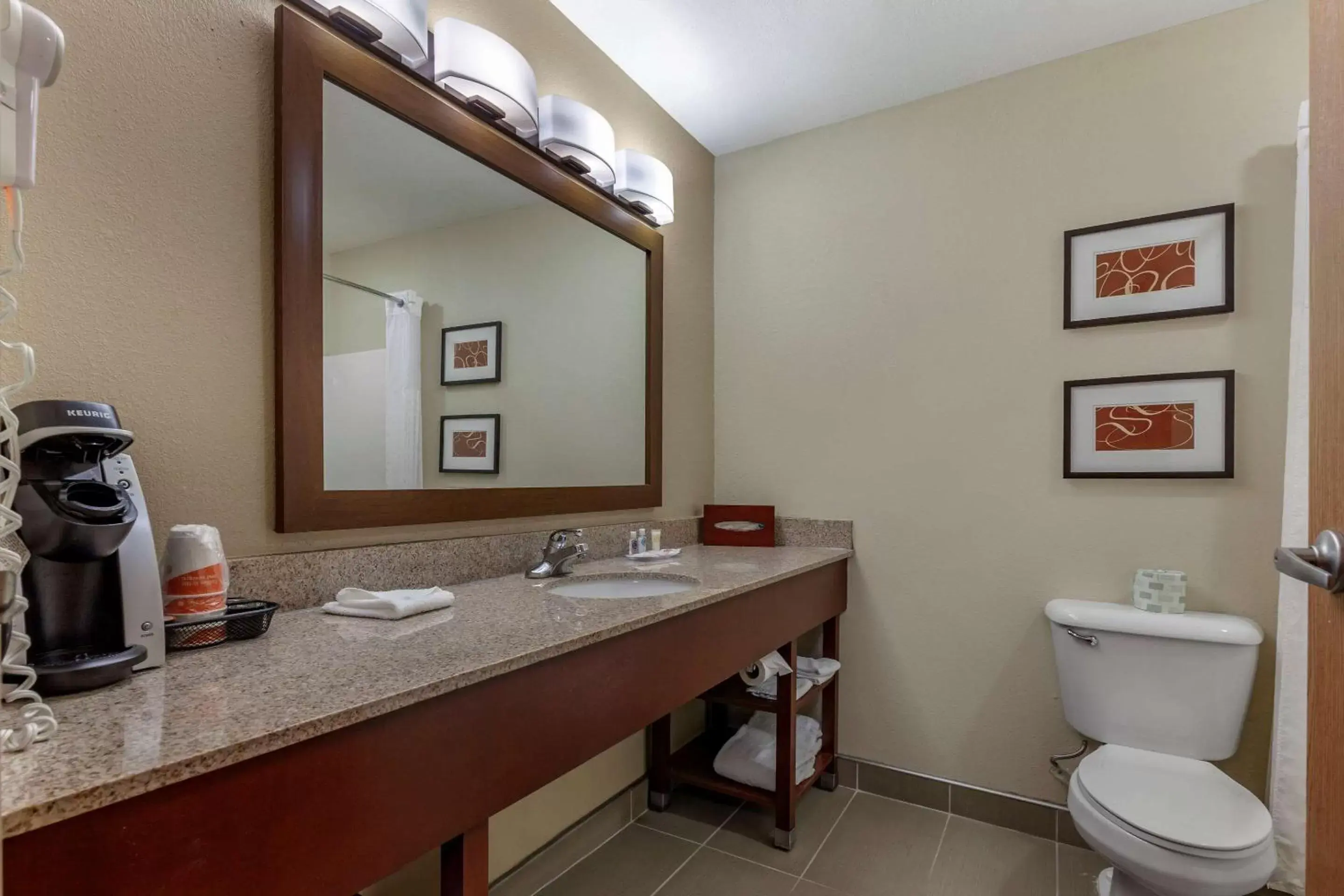 Photo of the whole room, Bathroom in Comfort Suites Delavan - Lake Geneva Area