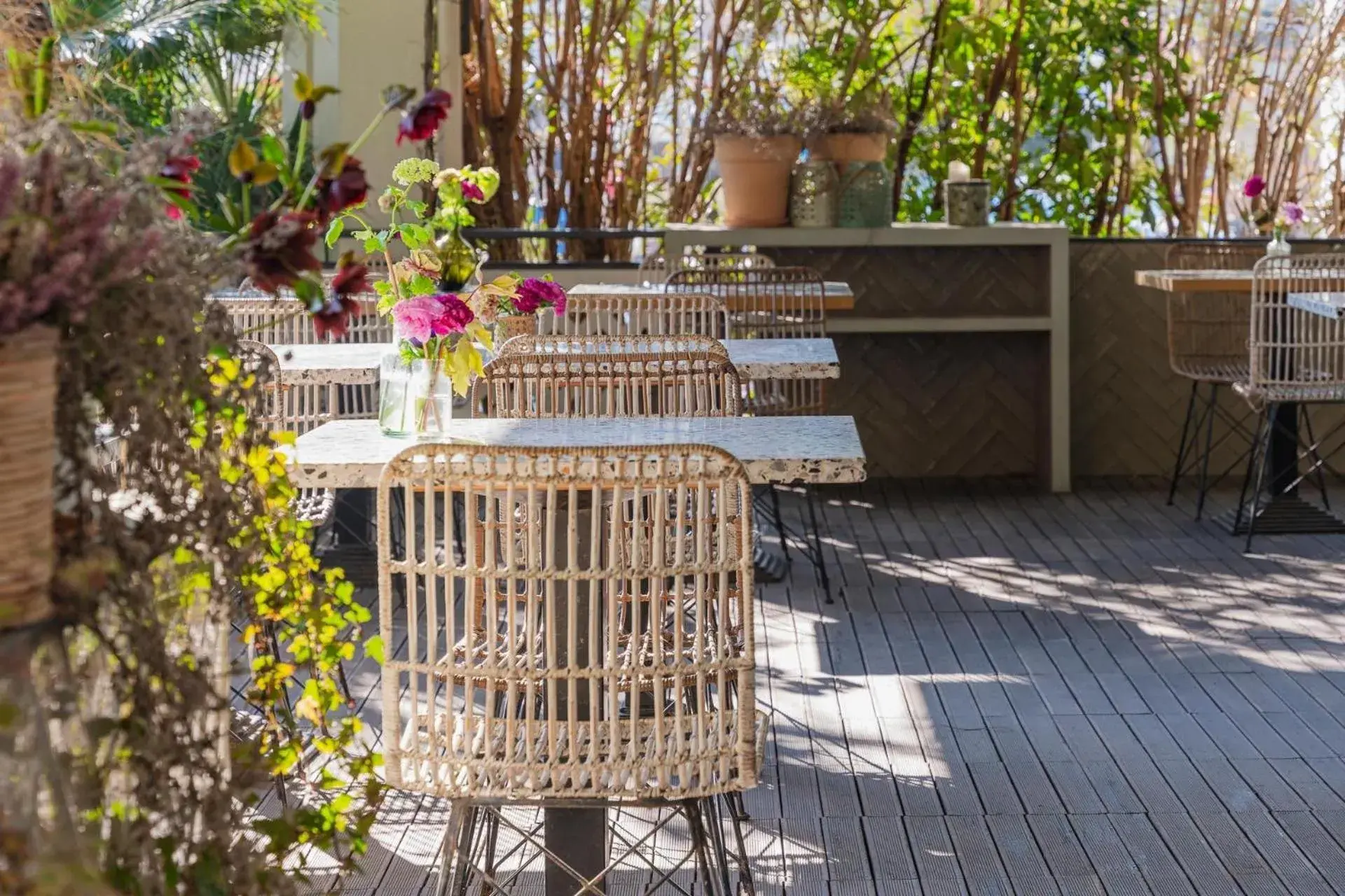 Balcony/Terrace in Hotel Villa Rosa Riviera