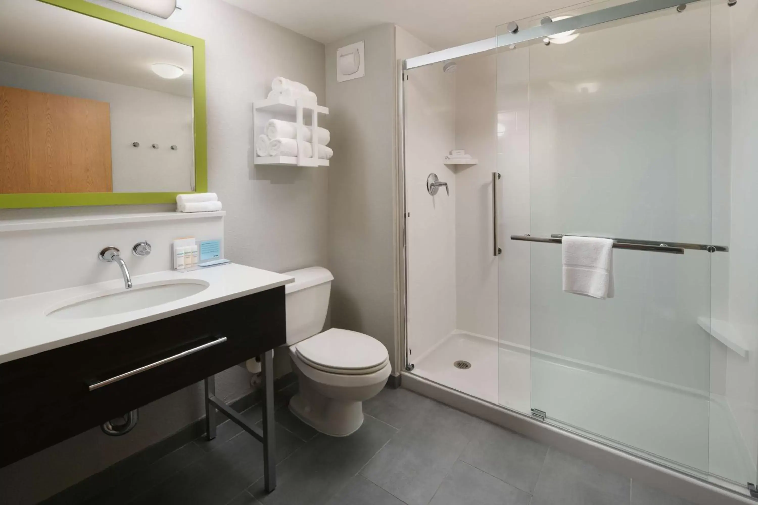 Bathroom in Hampton Inn & Suites Houston-Medical Center-NRG Park
