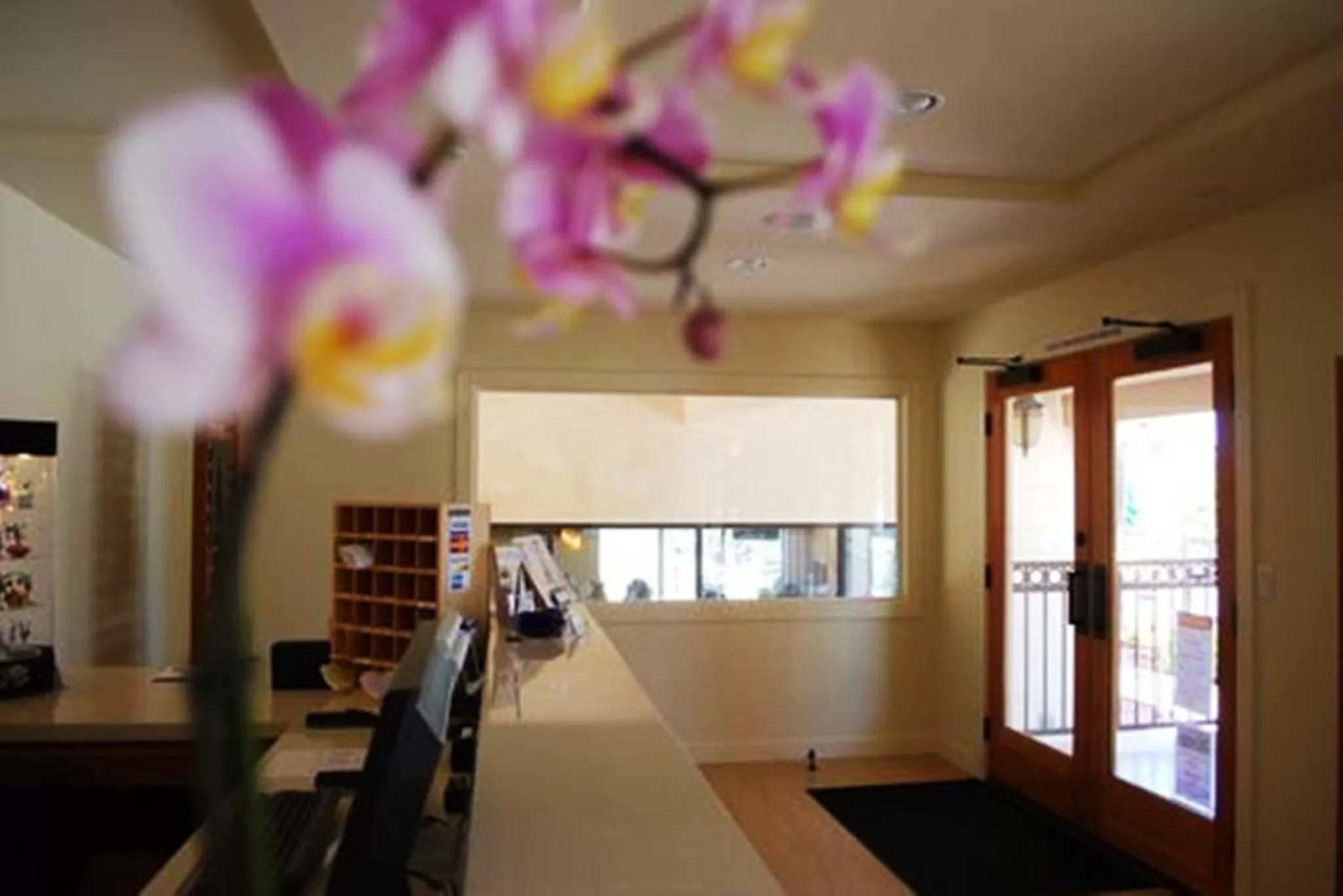 Day in Bella Capri Inn and Suites