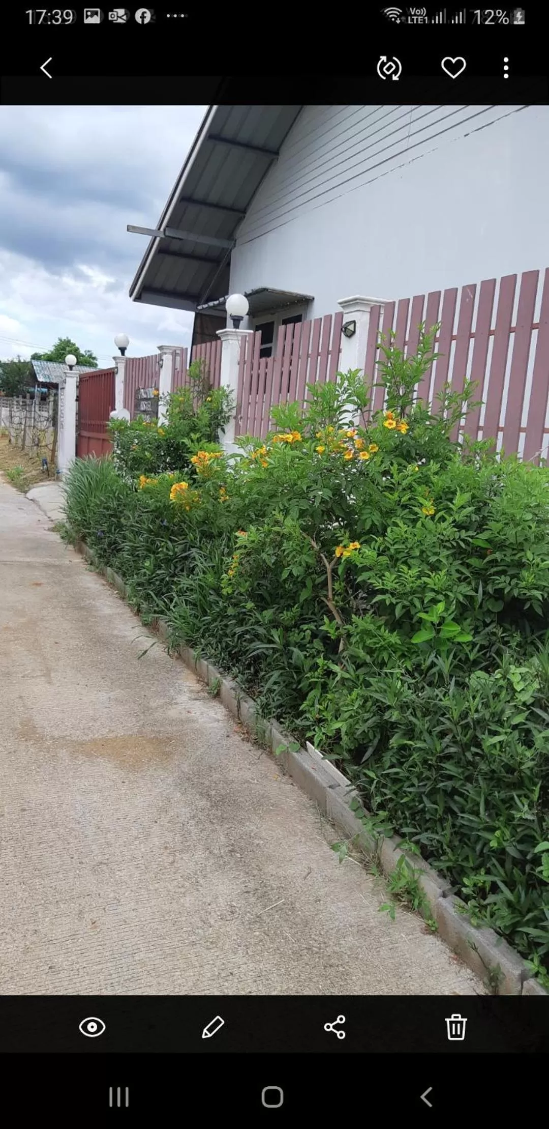 Pakchong hostel & wildlife tour