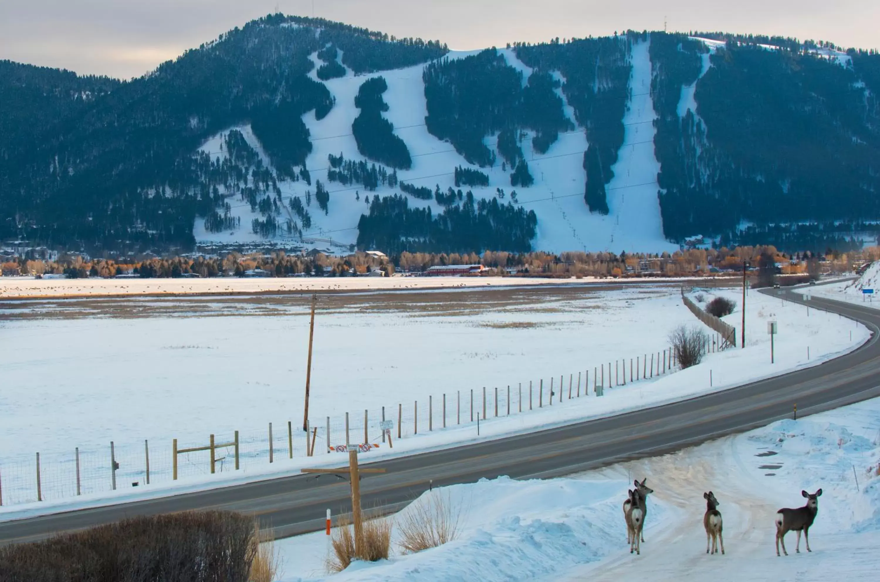 Natural landscape, Winter in Elk Refuge Inn