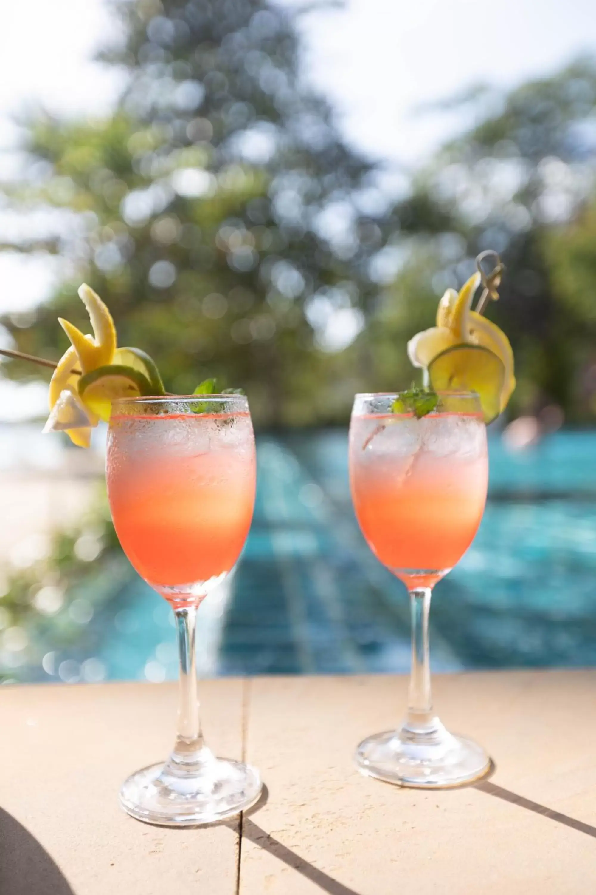Alcoholic drinks, Drinks in Chivapuri Beach Resort