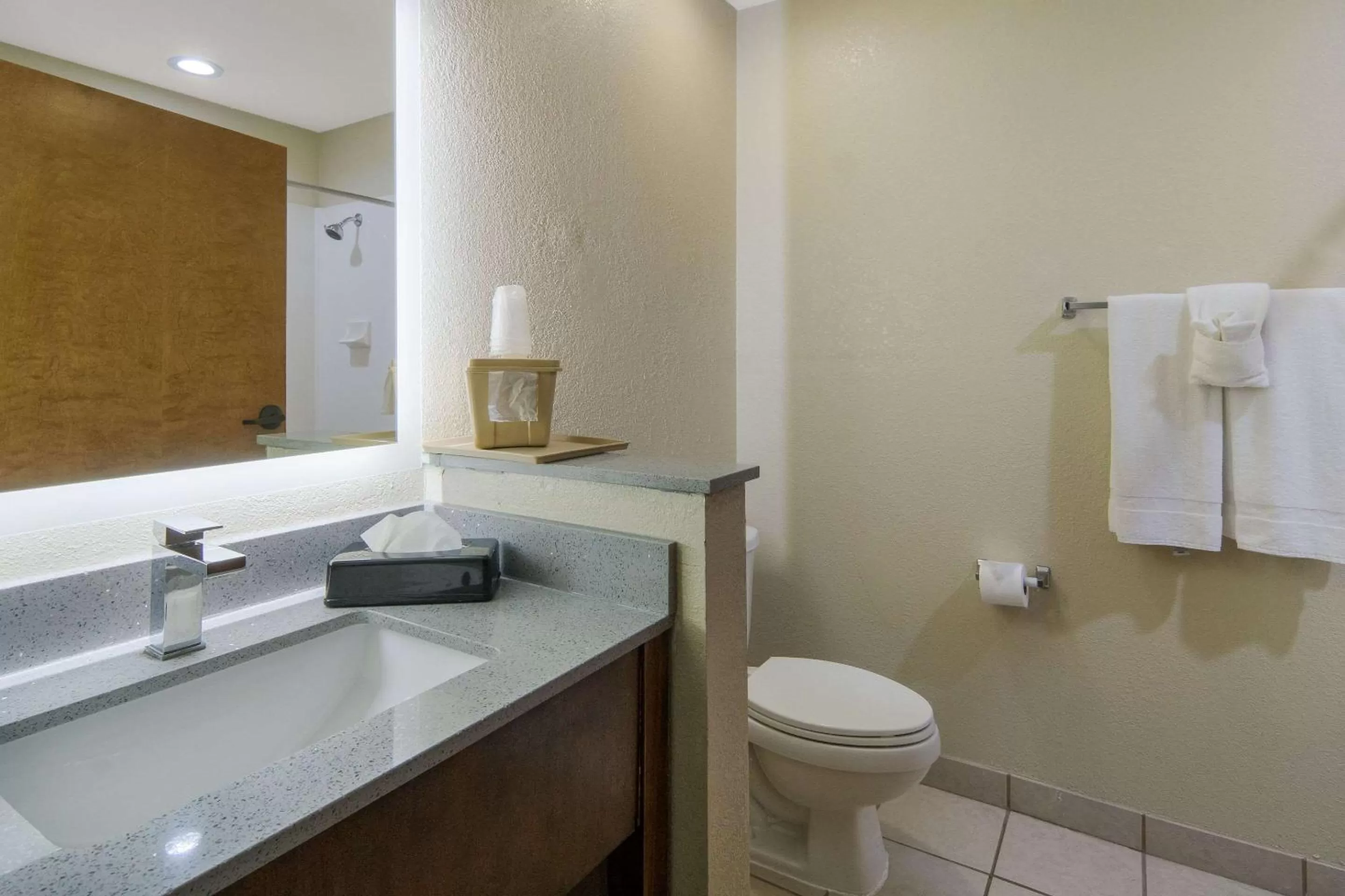Bedroom in Quality Inn & Suites Roanoke - Fort Worth North