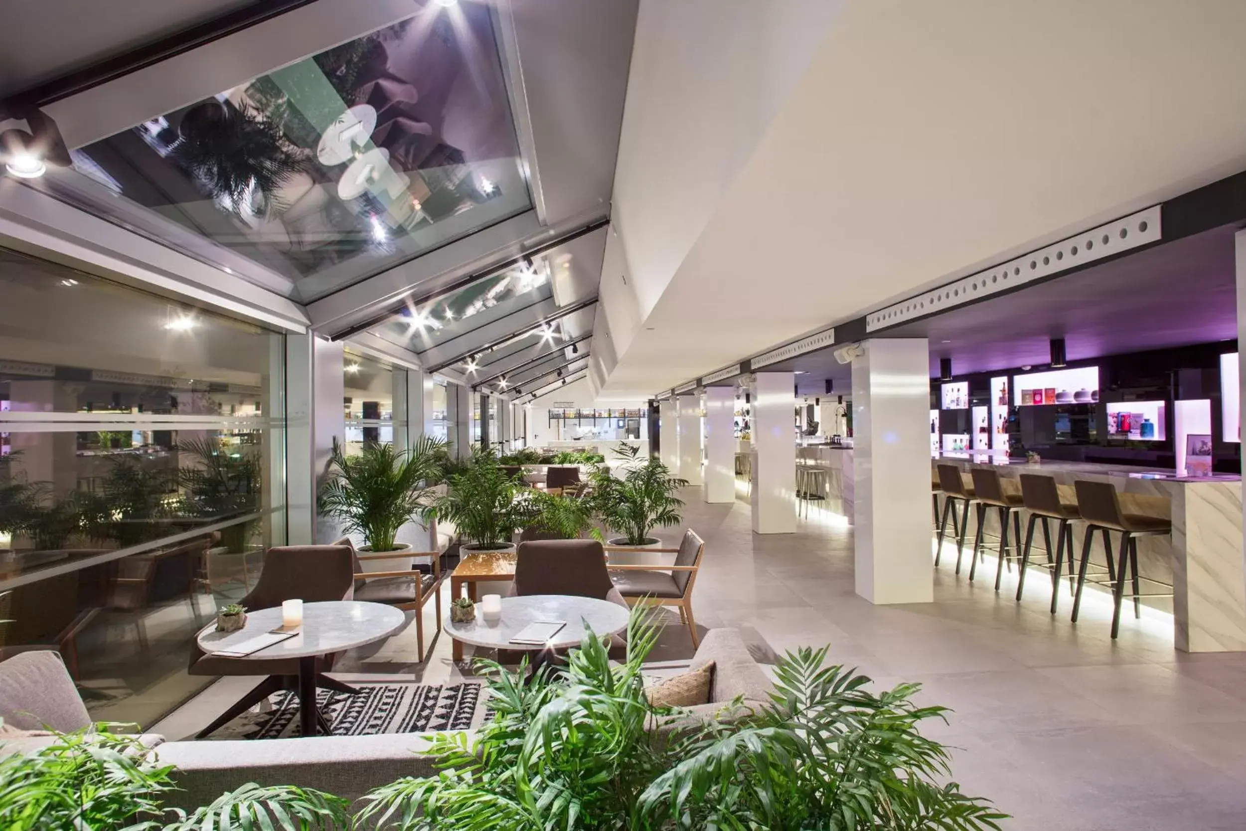 Lounge or bar, Restaurant/Places to Eat in INNSiDE by Meliá Palma Bosque