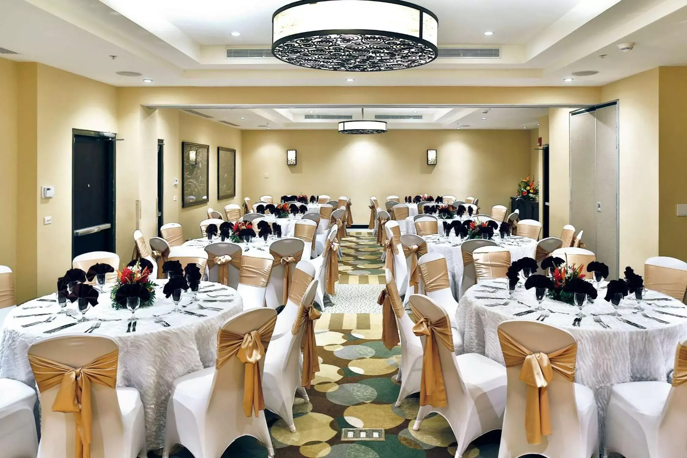 Meeting/conference room, Banquet Facilities in Hilton Garden Inn Guanacaste Airport