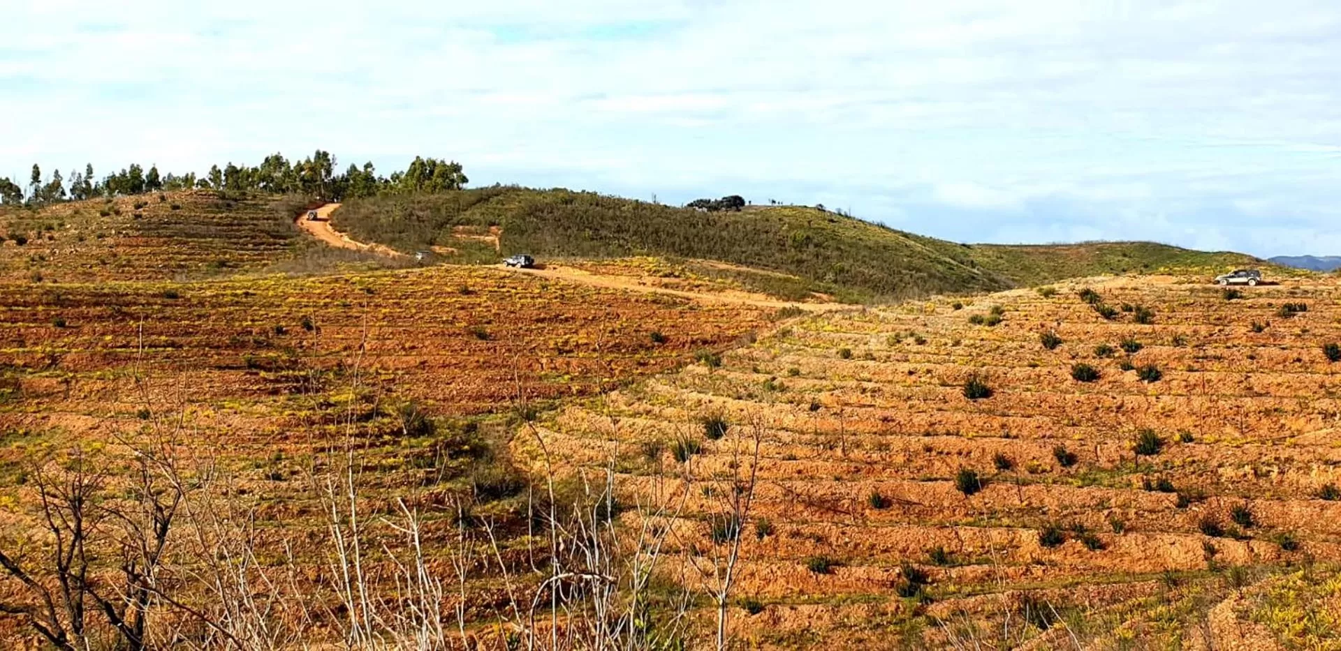 Natural landscape in Quinta Pedra Dos Bicos
