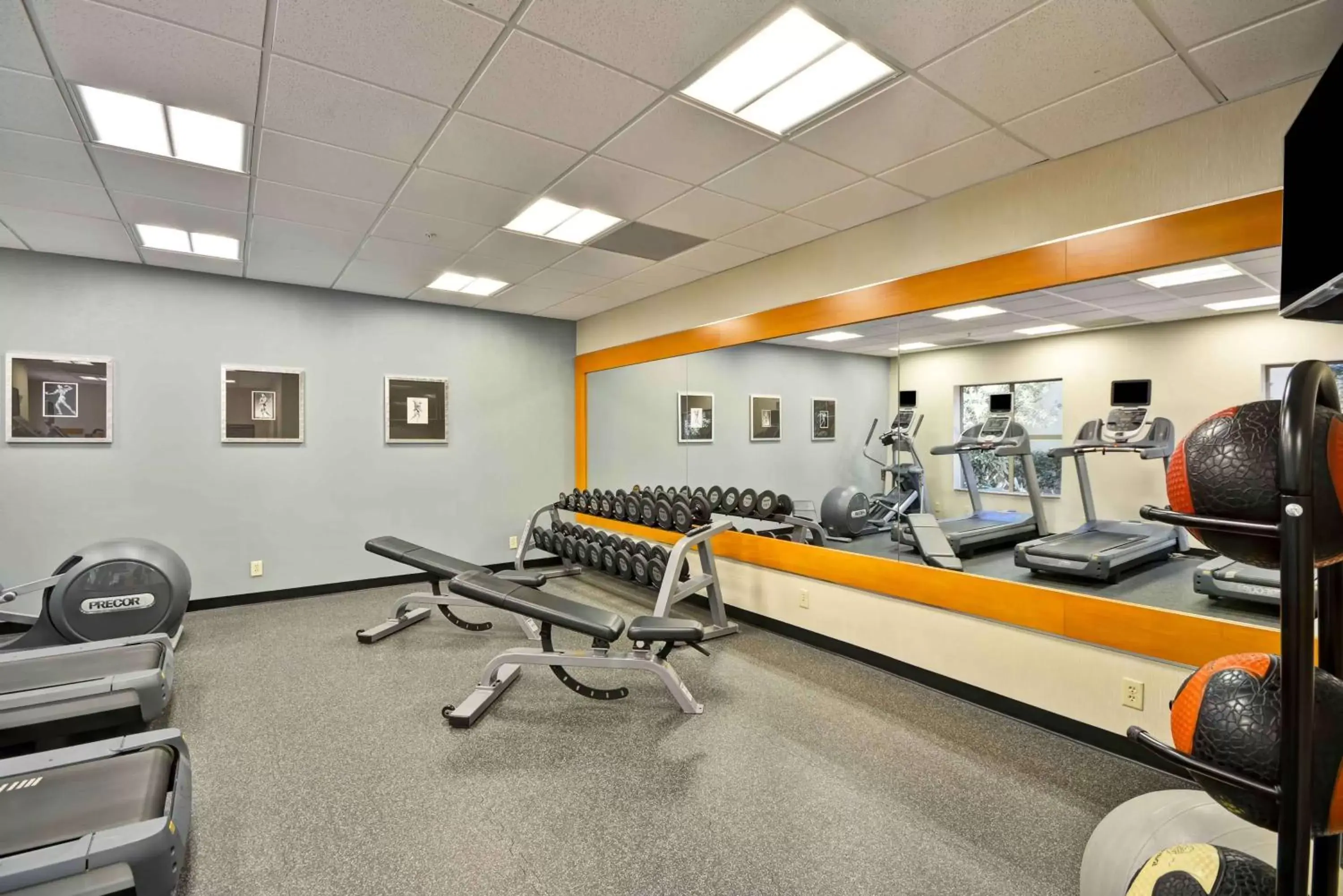 Fitness centre/facilities, Fitness Center/Facilities in Homewood Suites Dallas-Frisco
