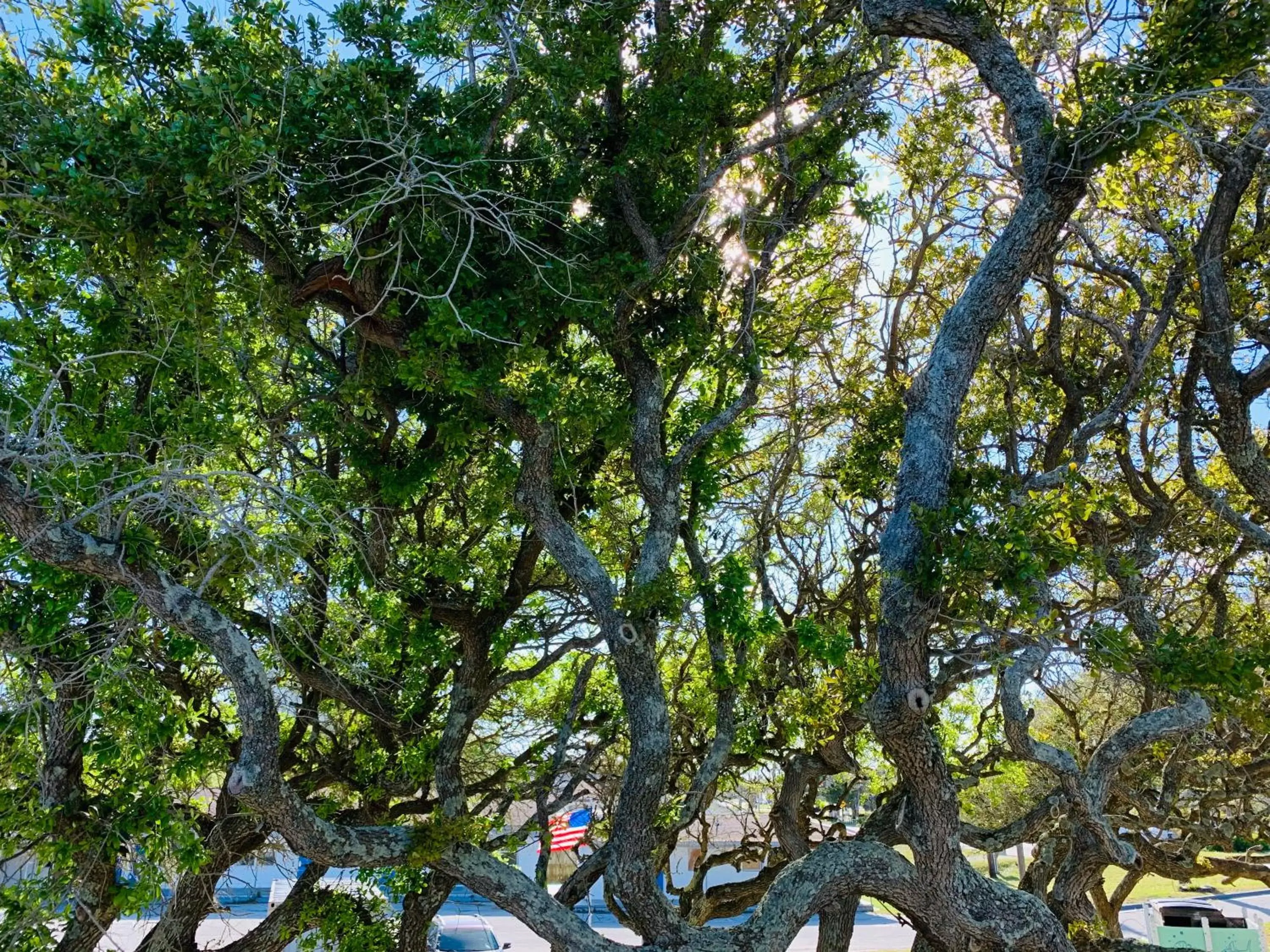 Natural landscape in Salter Path Inn