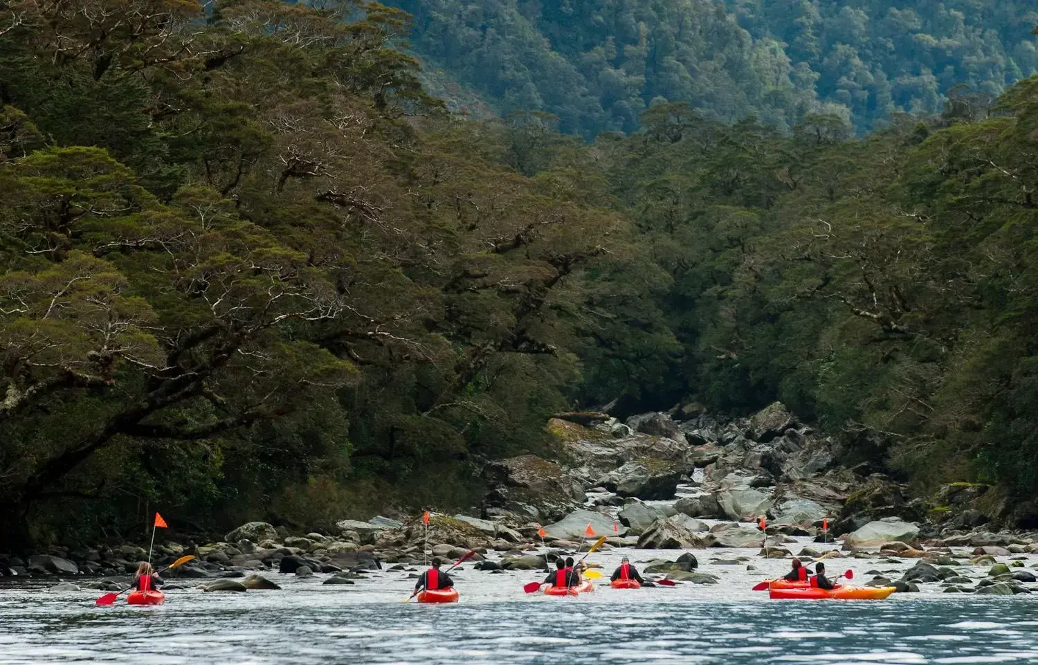 Sports in Bella Vista Motel Te Anau