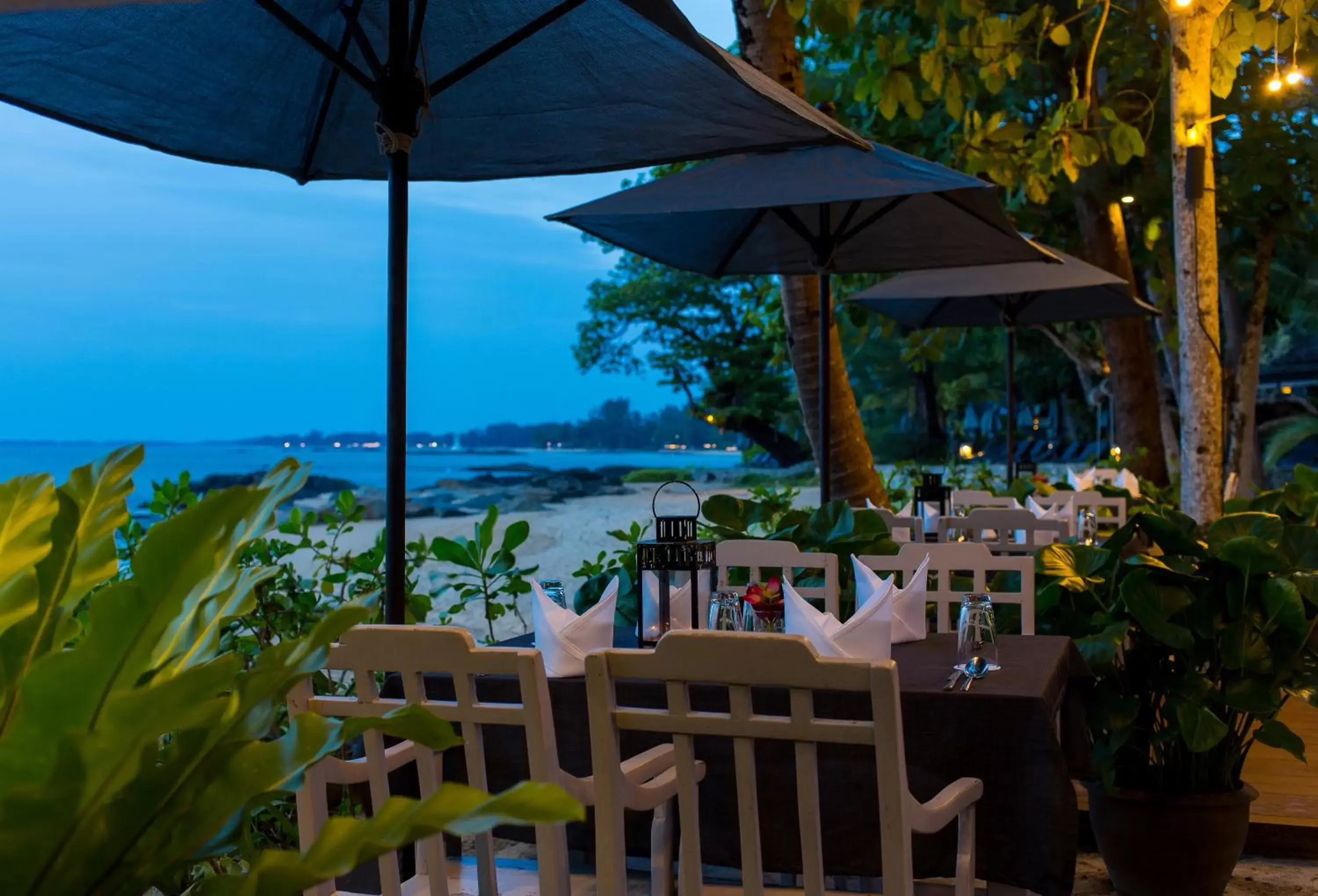 Restaurant/Places to Eat in Moracea by Khao Lak Resort - SHA Extra Plus