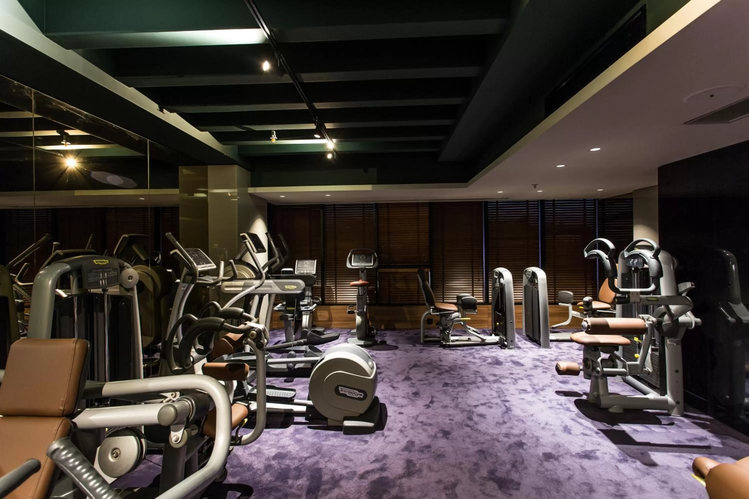Fitness centre/facilities in Ambasador Hotel
