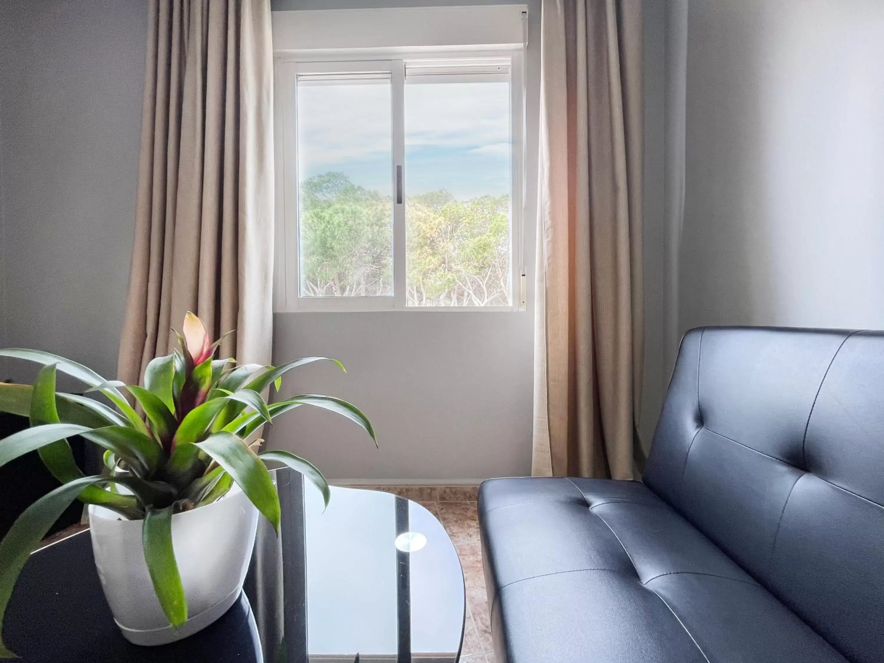 Lounge or bar, Seating Area in Hotel ParqueMar Premium Beach