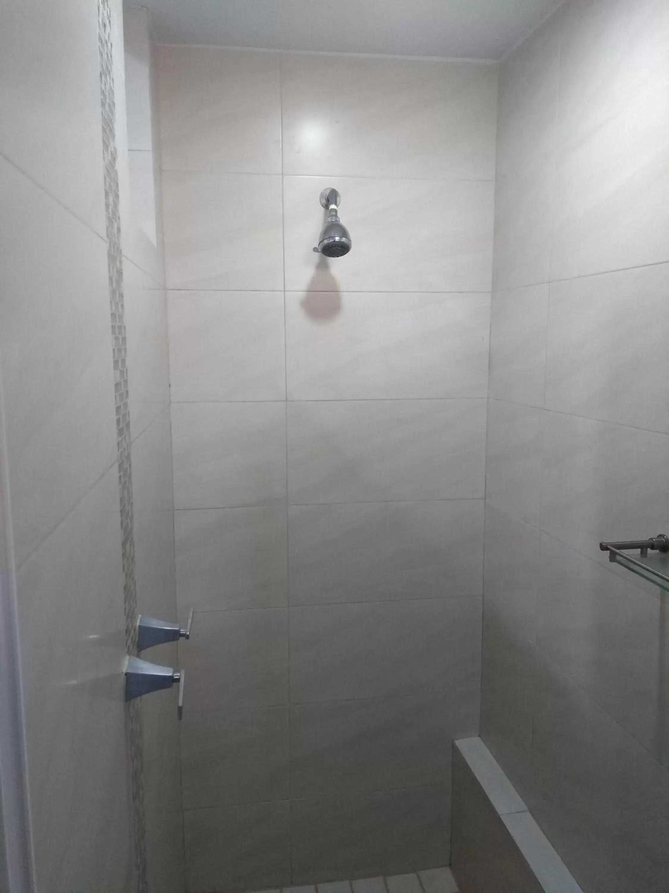 Shower, Bathroom in Suites Chapultepec