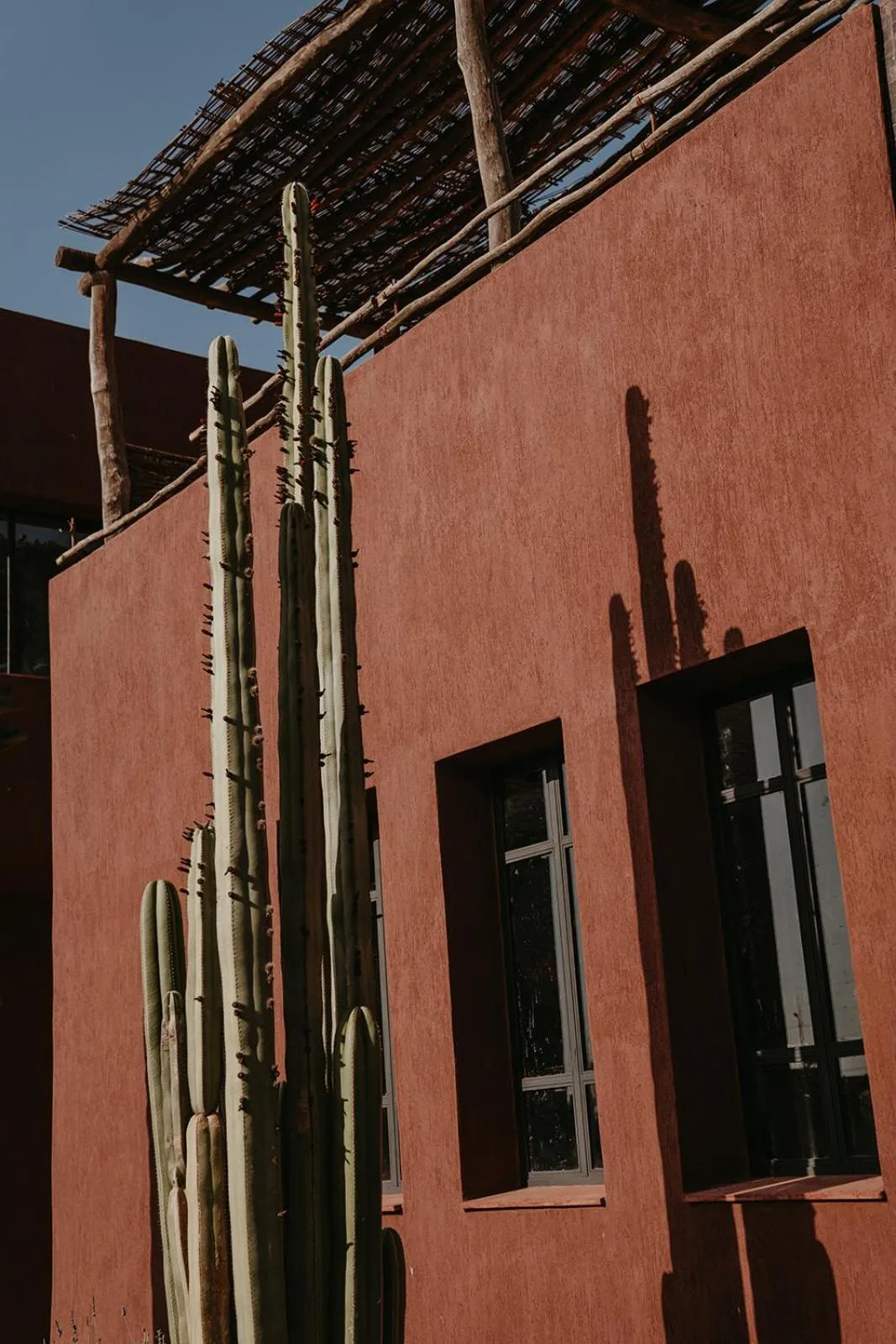 Garden in Fellah Hotel