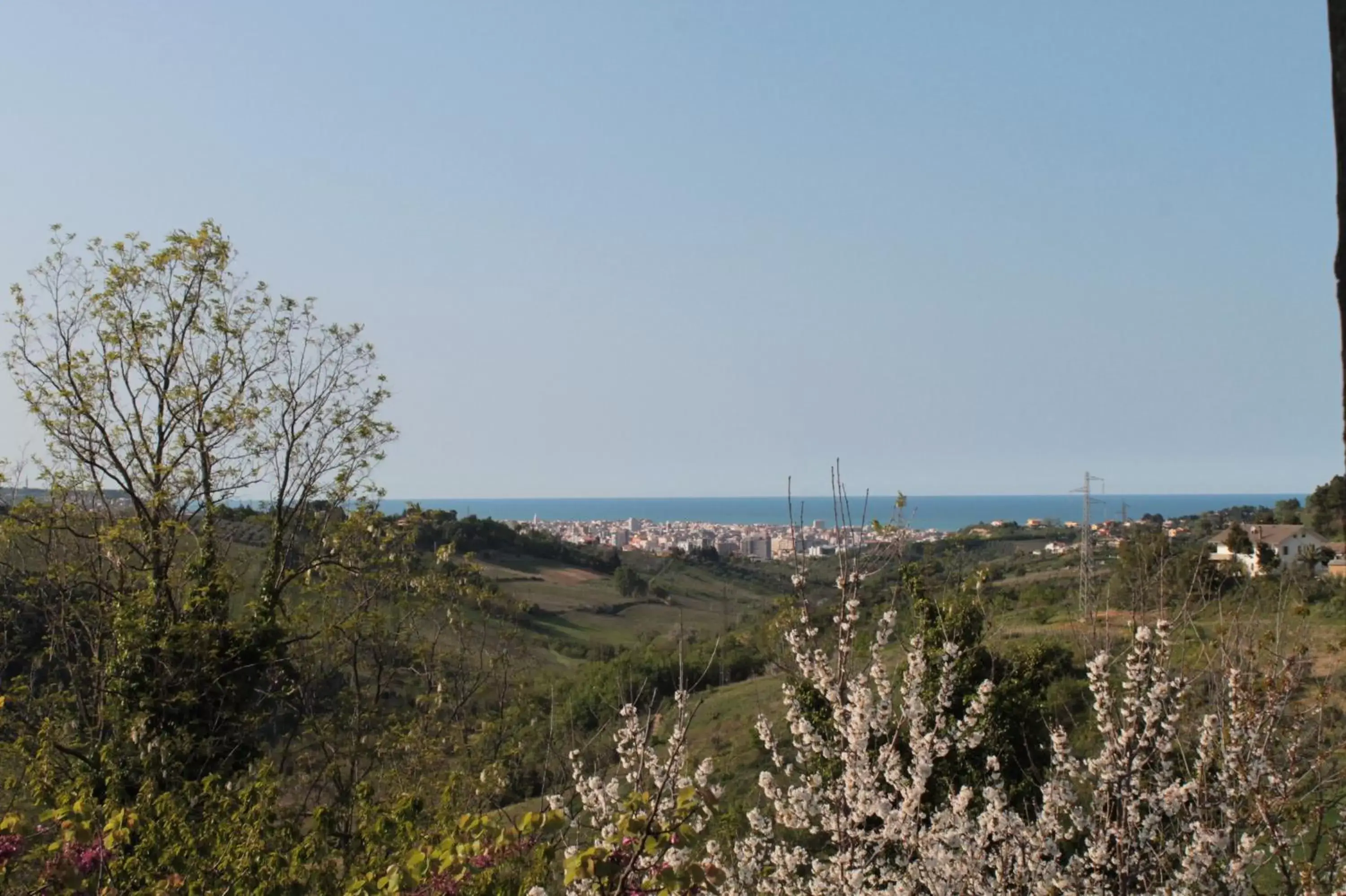 View (from property/room) in B&B Azzurra