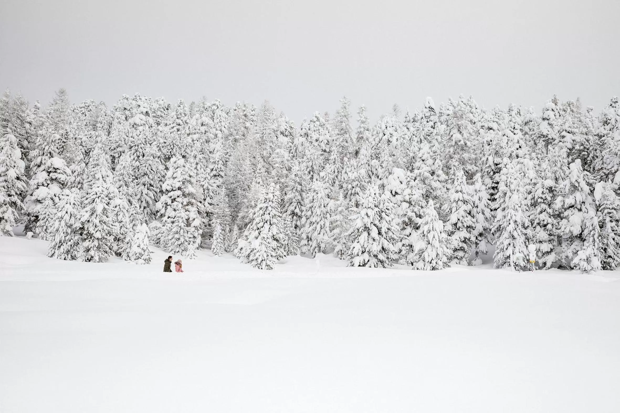 Natural landscape in Chesa Languard
