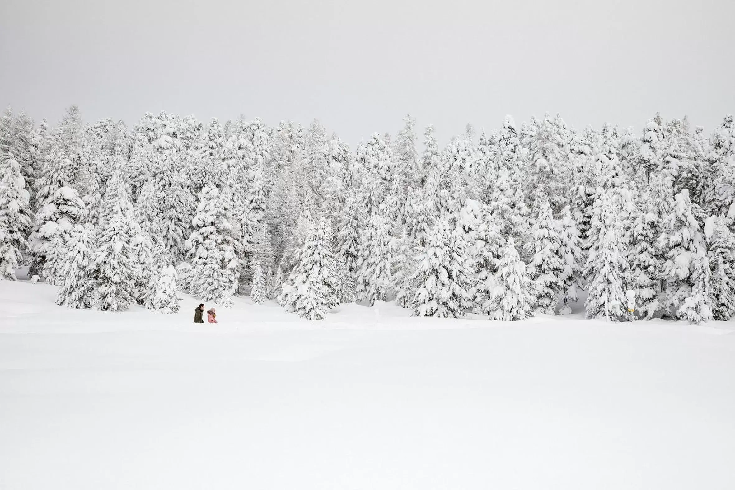 Natural landscape, Winter in Chesa Languard