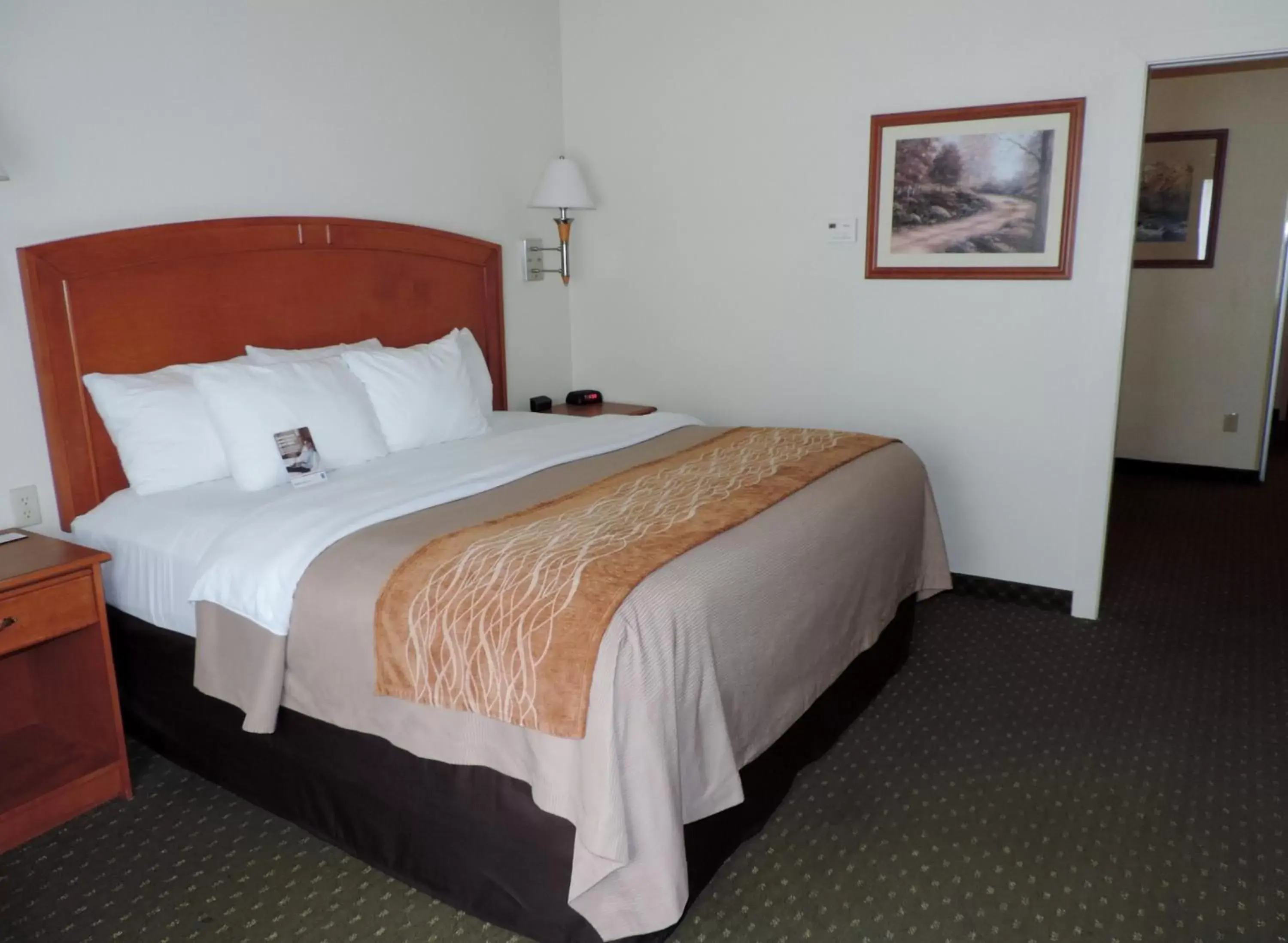 King Room - Non-Smoking in Comfort Inn & Suites Rawlins