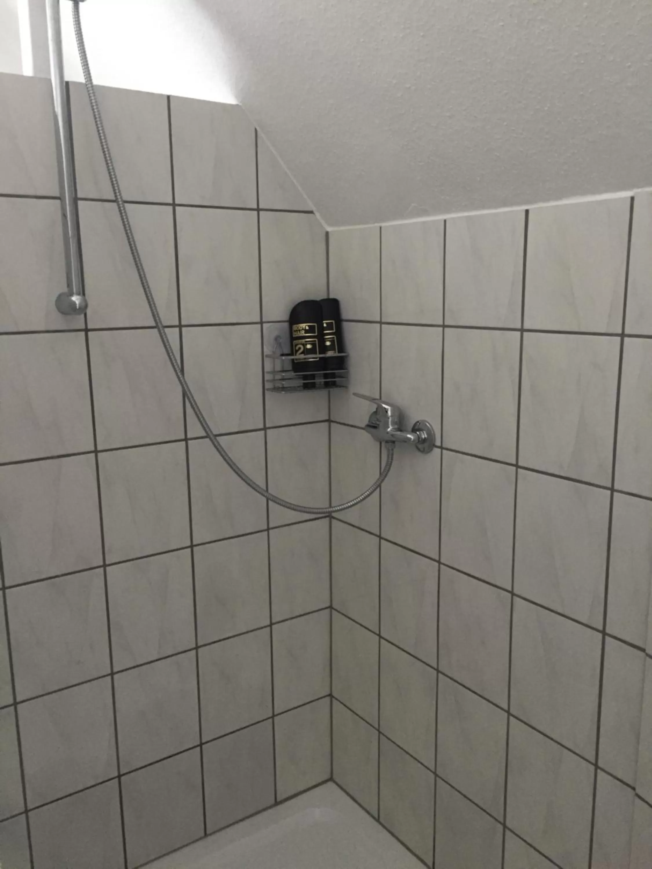 Shower in Hotel Stadt Mainz