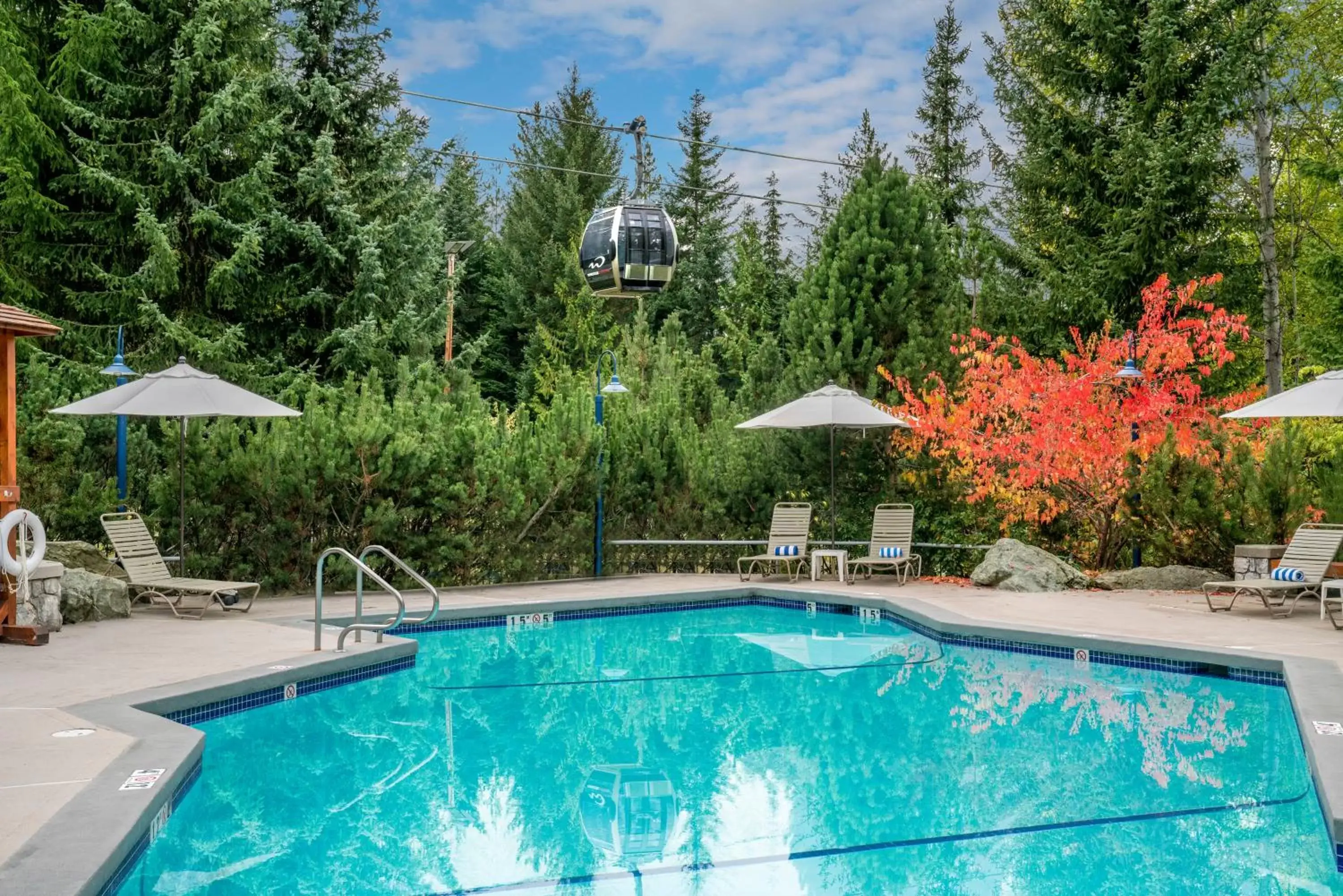 Swimming Pool in Blackcomb Springs Suites by CLIQUE