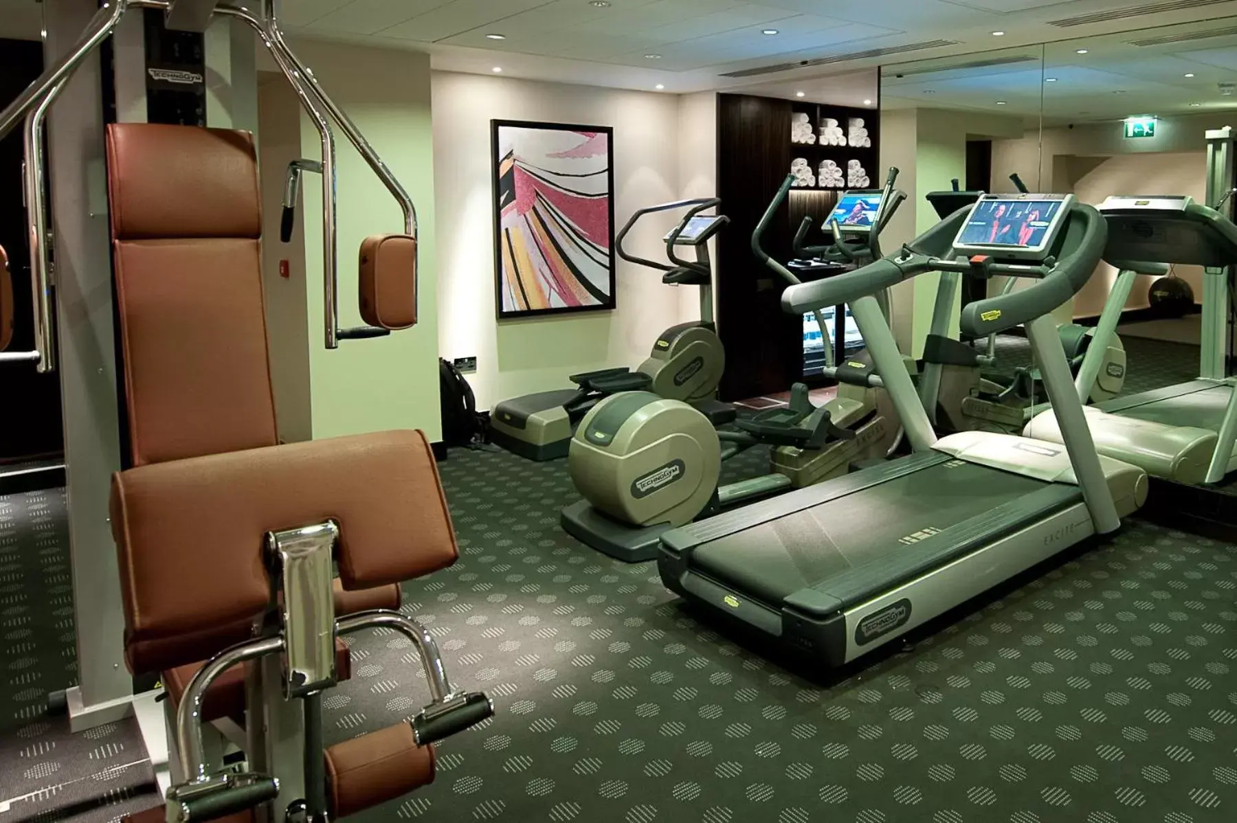 Fitness centre/facilities, Fitness Center/Facilities in The Prince Akatoki London