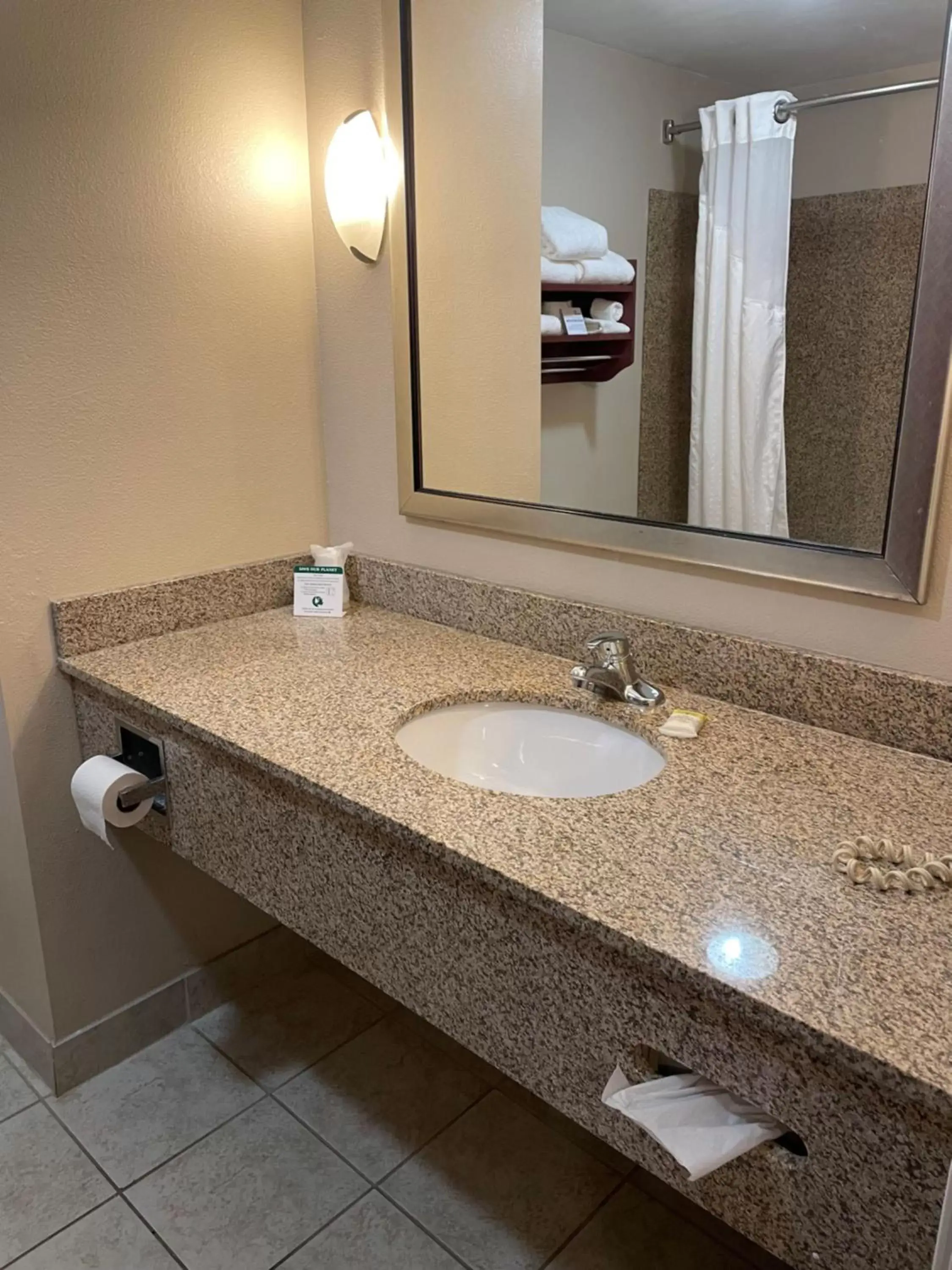 Bathroom in Holiday Inn Express & Suites Niagara Falls, an IHG Hotel