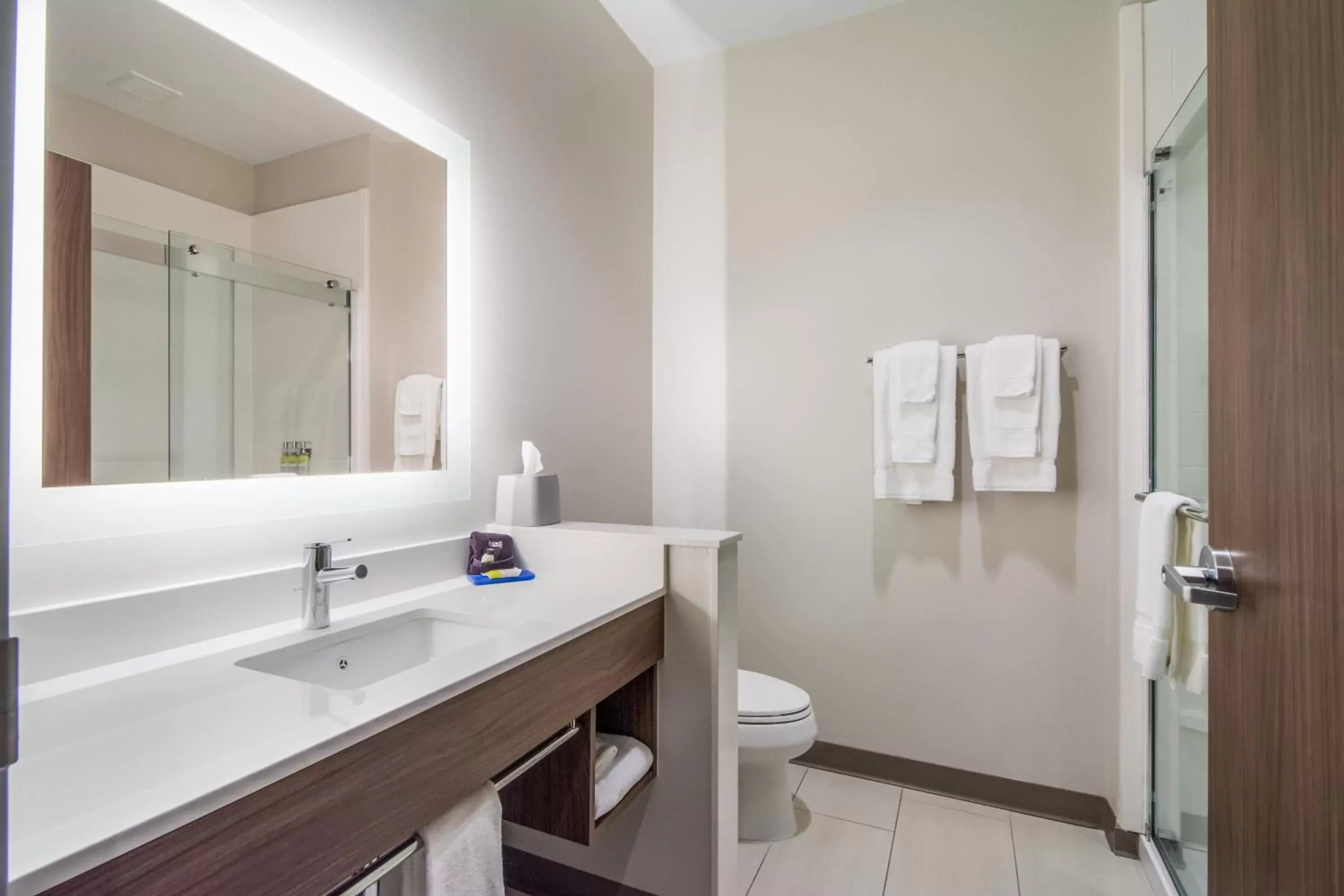 Photo of the whole room, Bathroom in Holiday Inn Express & Suites - Asheboro, an IHG Hotel