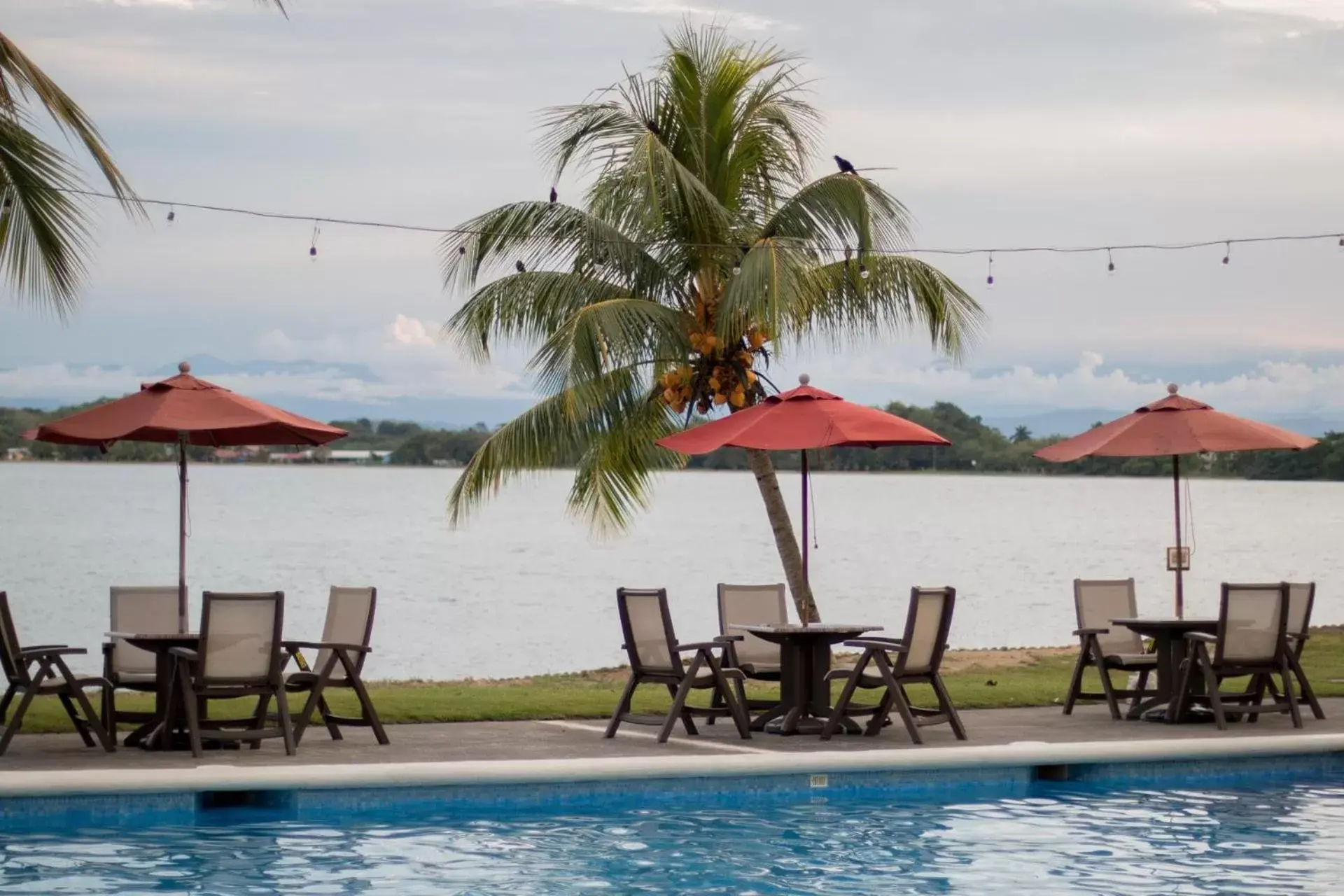 Swimming Pool in Playa Tortuga Hotel and Beach Resort