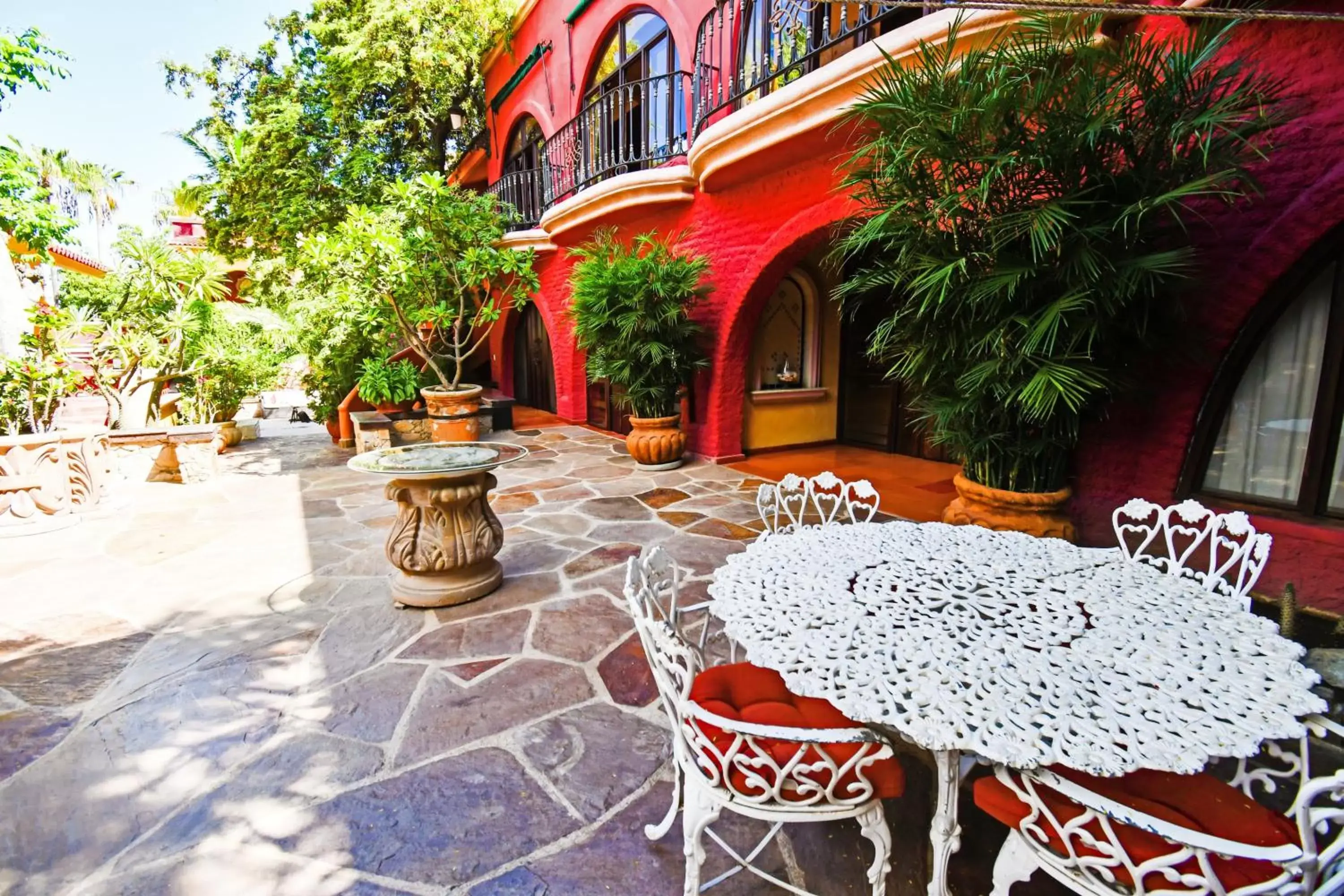 Restaurant/places to eat in Collection O Casa Bella Hotel Boutique, Cabo San Lucas