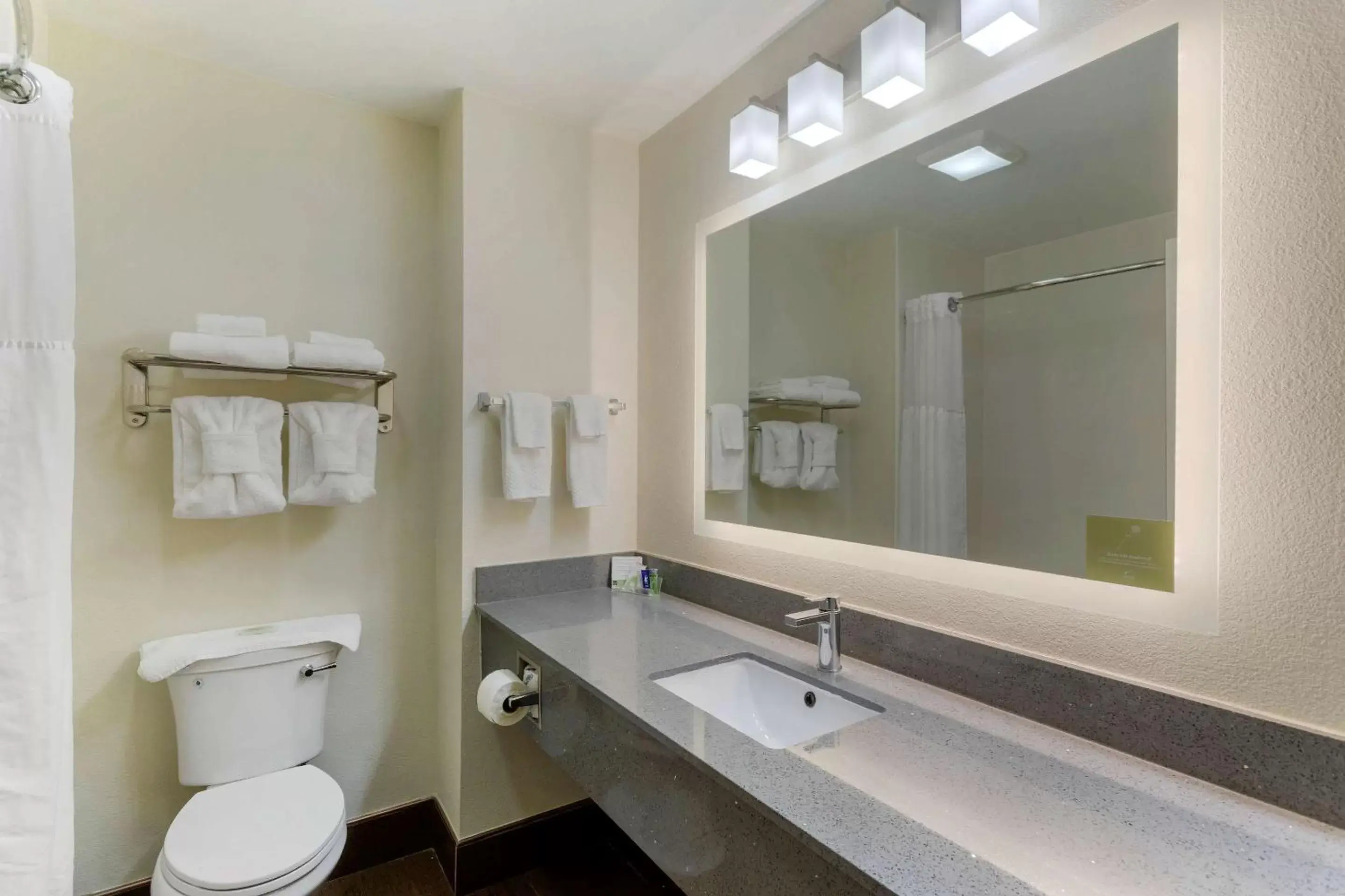 Photo of the whole room, Bathroom in Sleep Inn & Suites Smyrna – Nashville