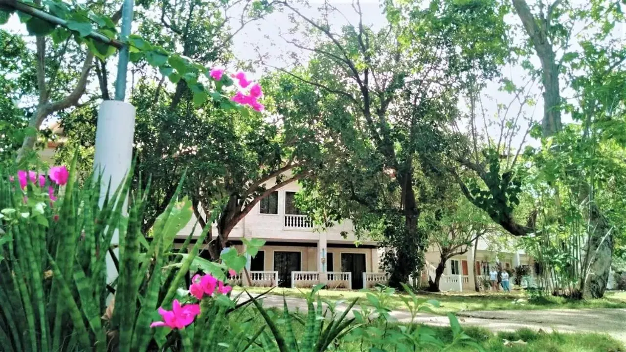 Facade/entrance in La Sirenita Facade/entrance in La Sirenita