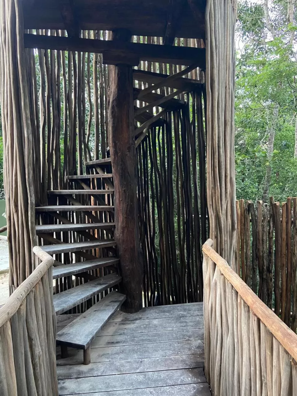 Property building in Loba Tulum Male Only