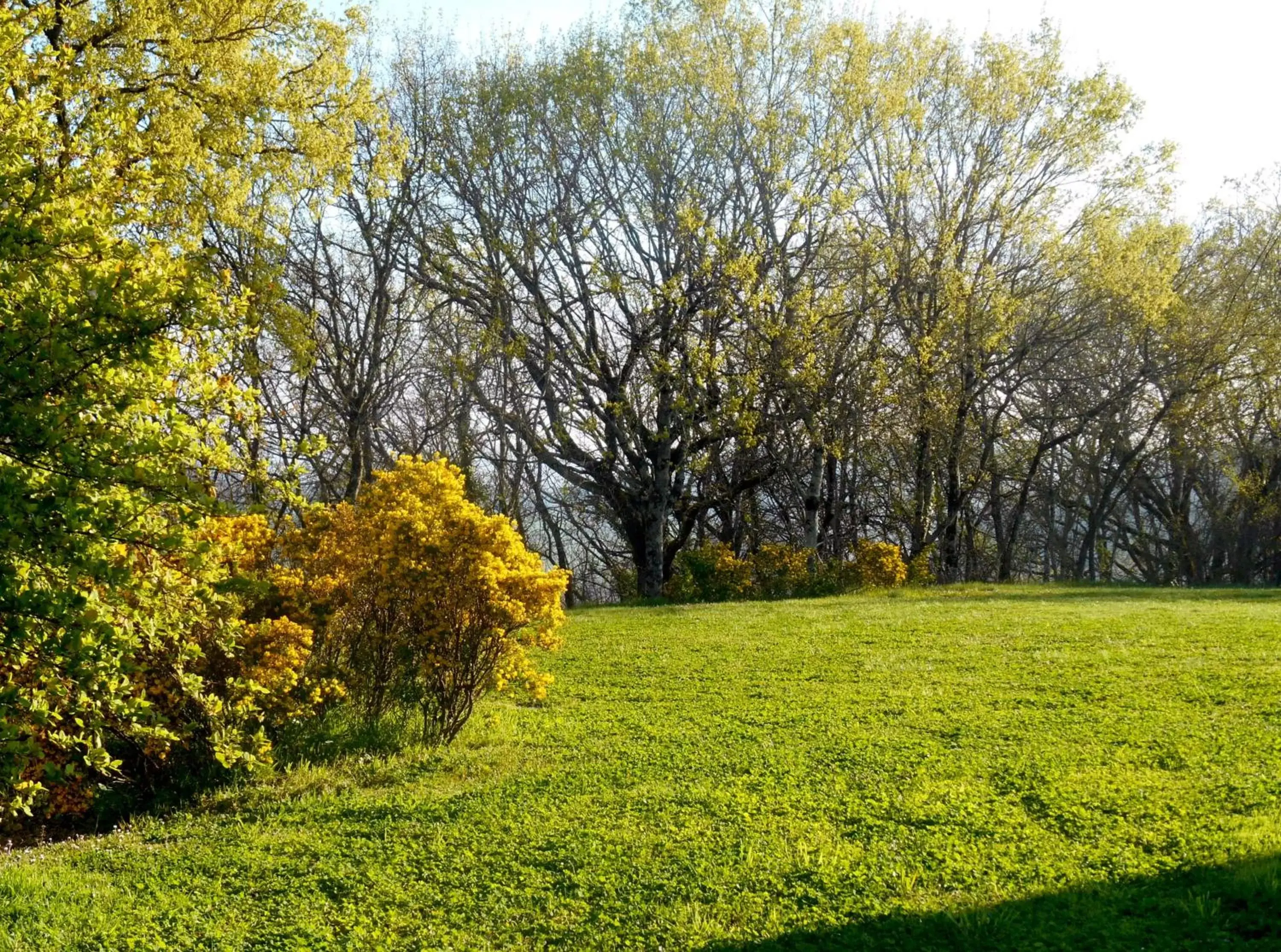 Garden in Le Colombier