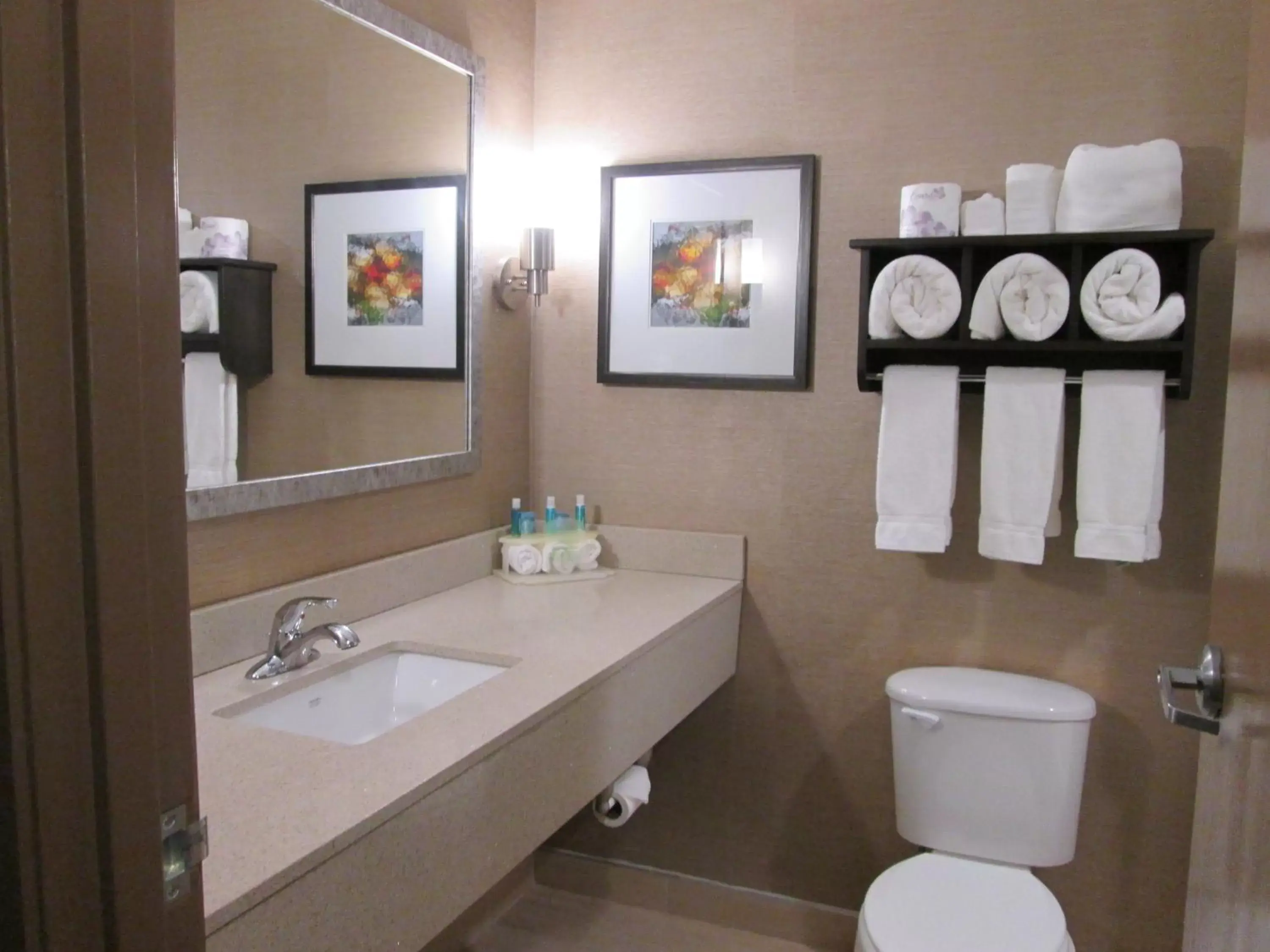 Bathroom in Holiday Inn Express Cloverdale - Greencastle, an IHG Hotel