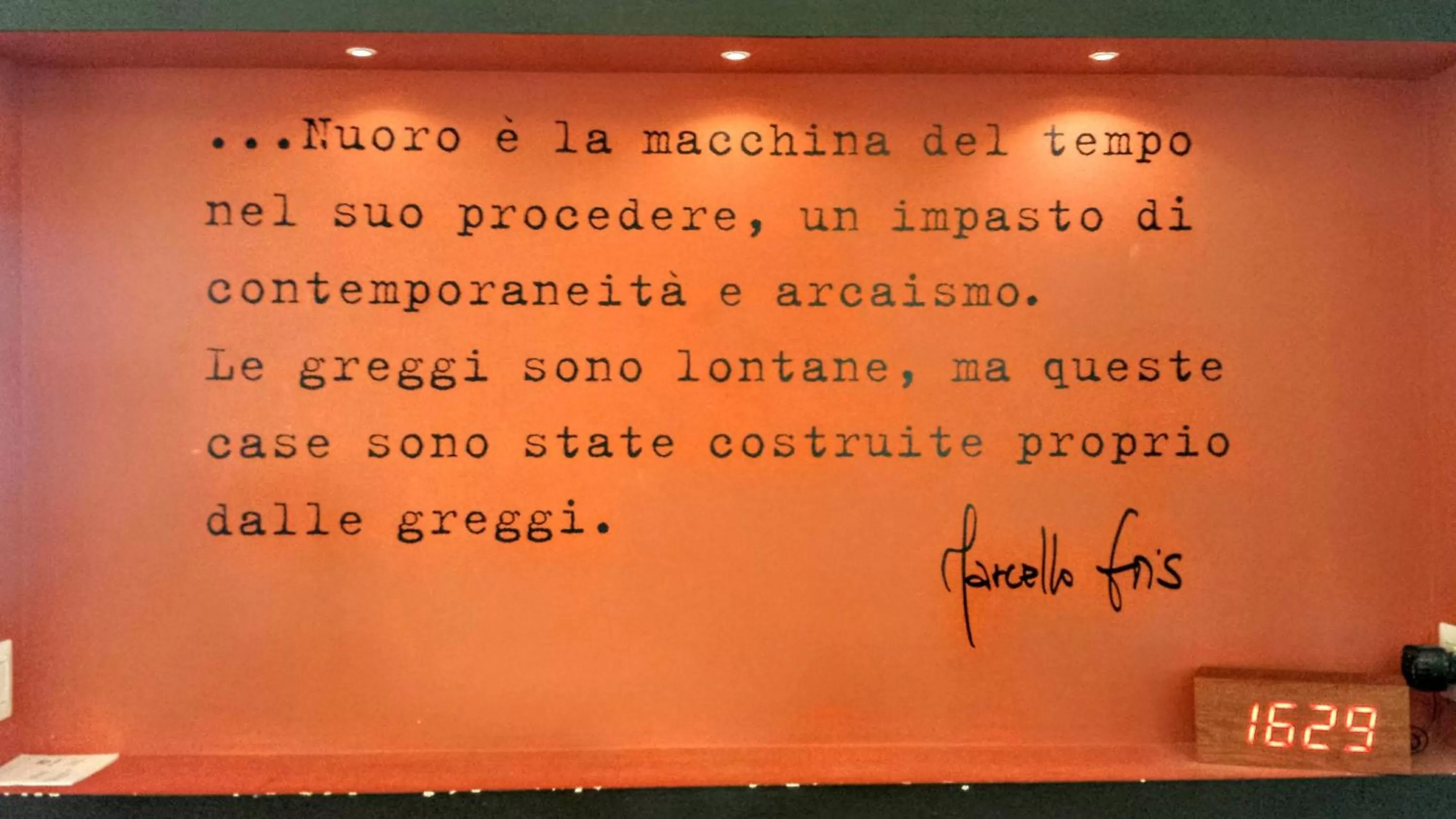 Area and facilities in Hotel Sandalia