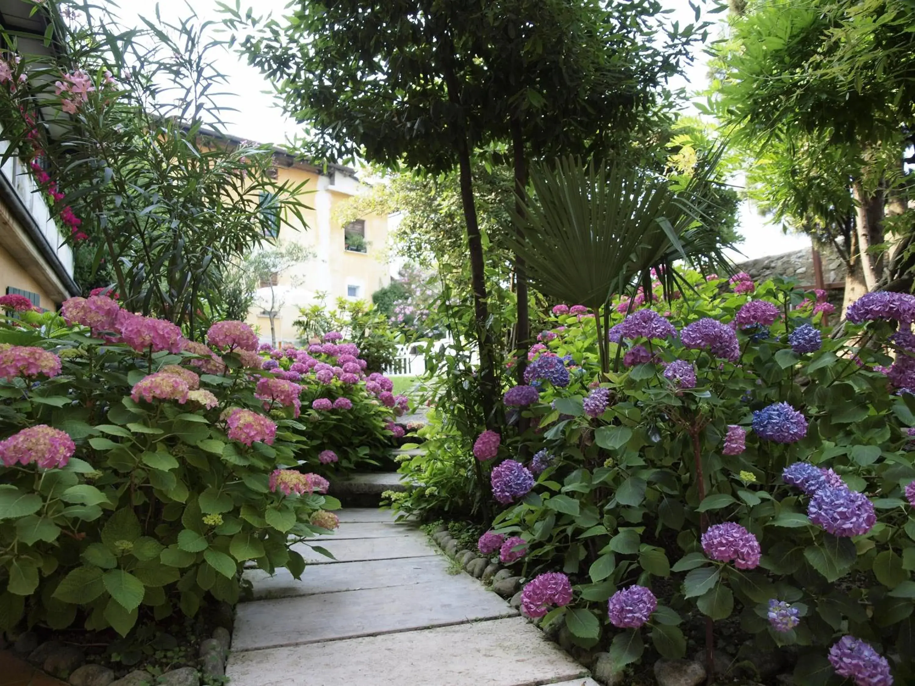Garden in Hotel San Filis