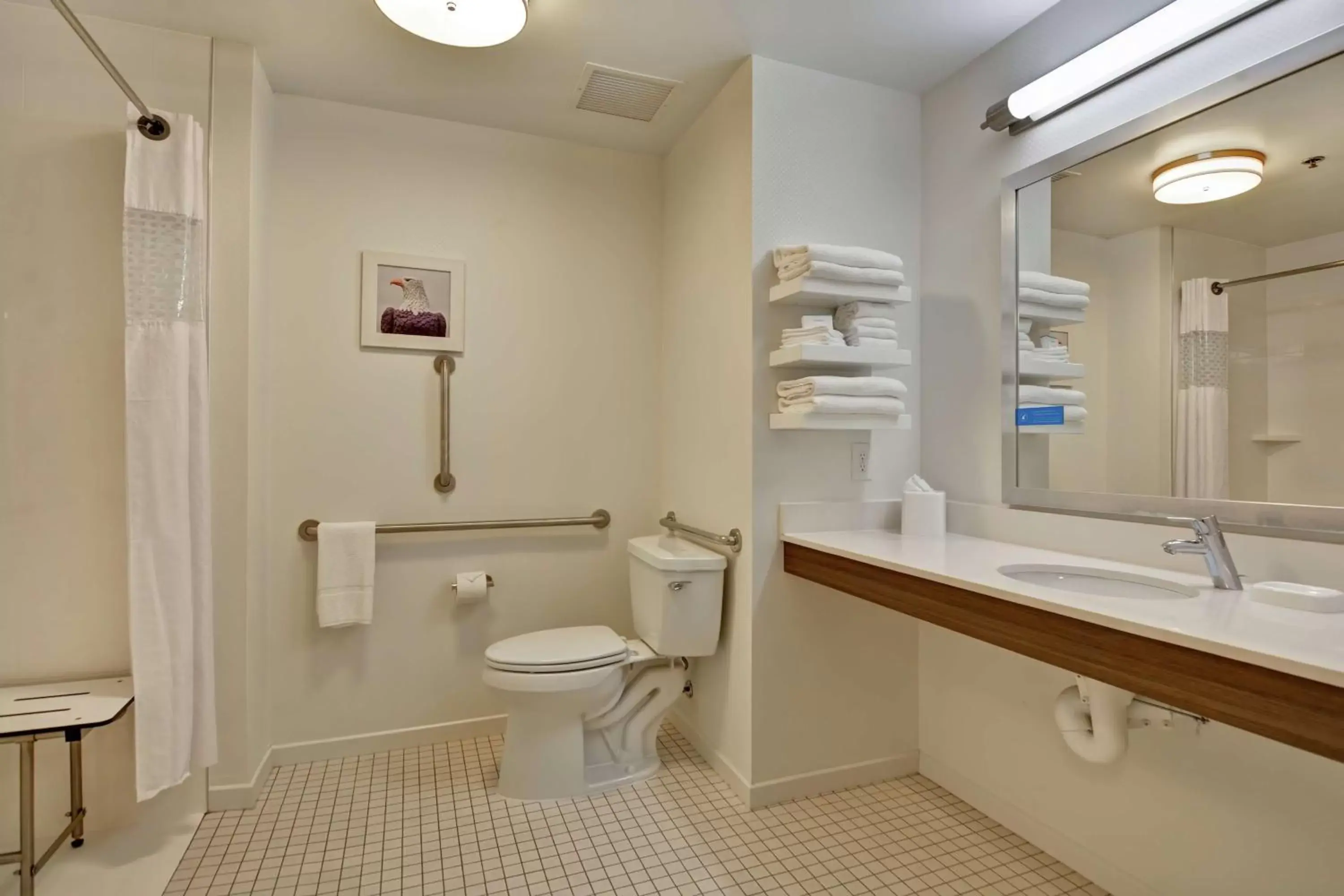 Bathroom in Hampton Inn By Hilton Suites Ashland, Ohio