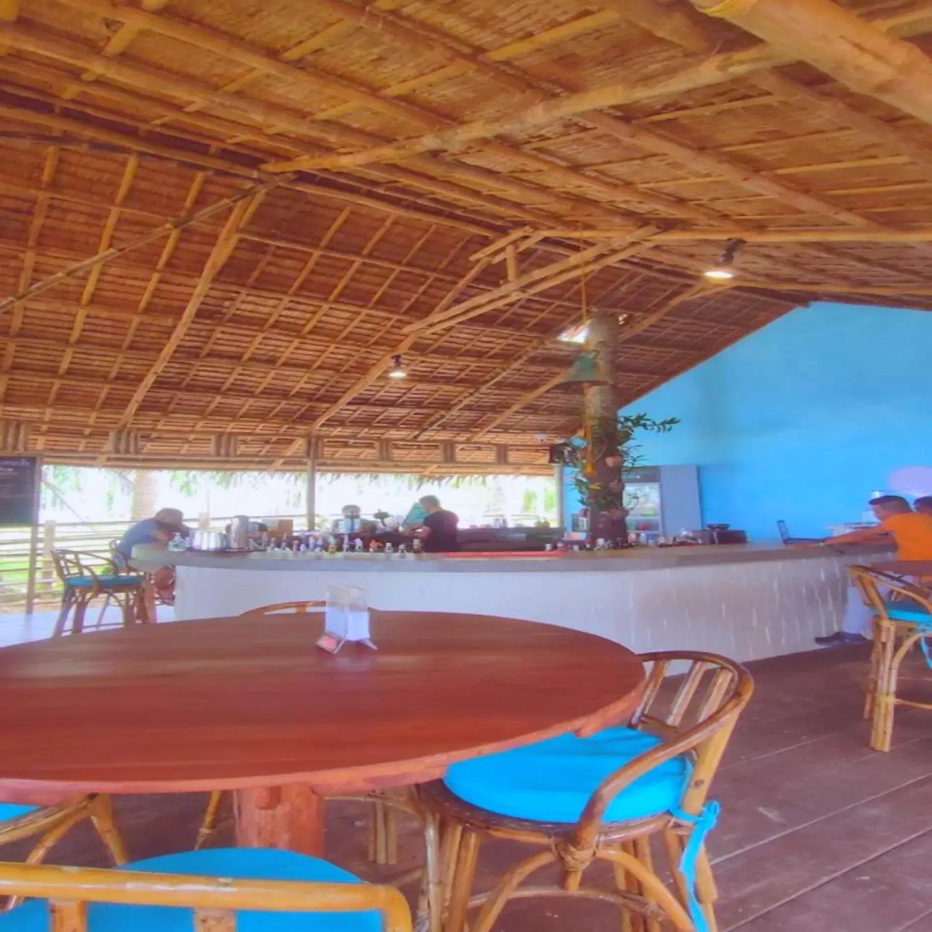 Restaurant/places to eat in Mad Monkey Hostel Nacpan Beach
