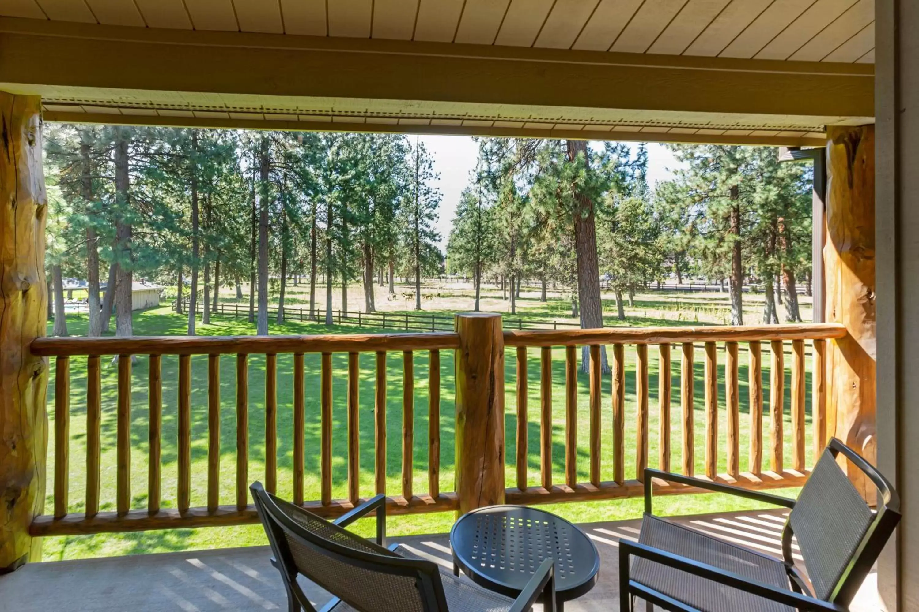 View (from property/room), Balcony/Terrace in Best Western Ponderosa Lodge
