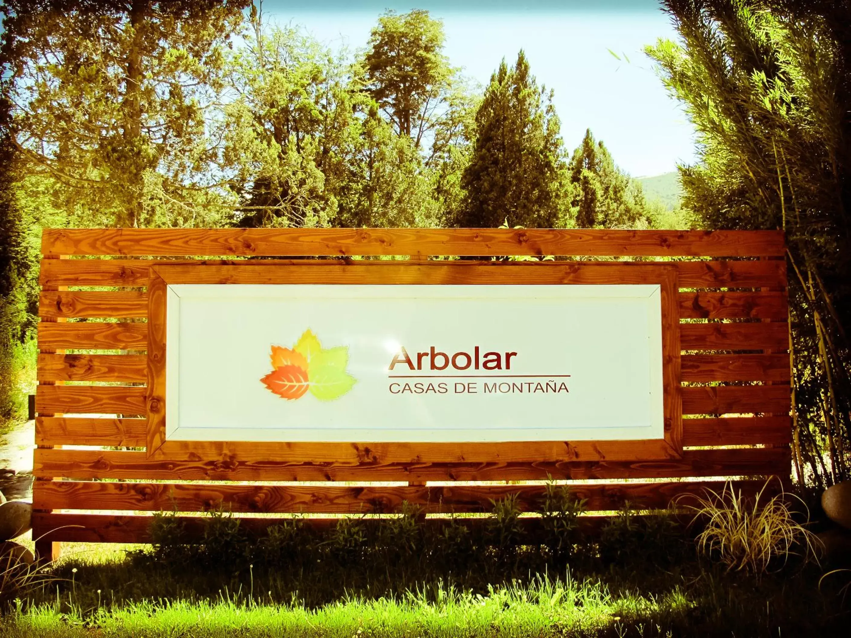 Property logo or sign in Arbolar