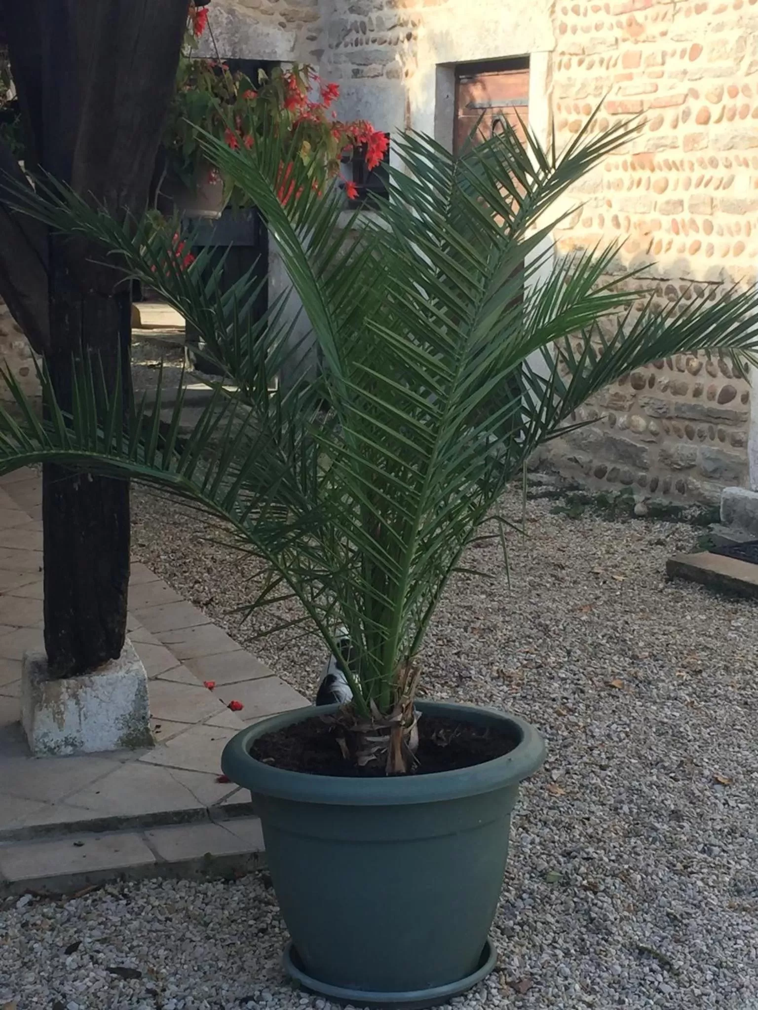 Le Moulin de Champagne