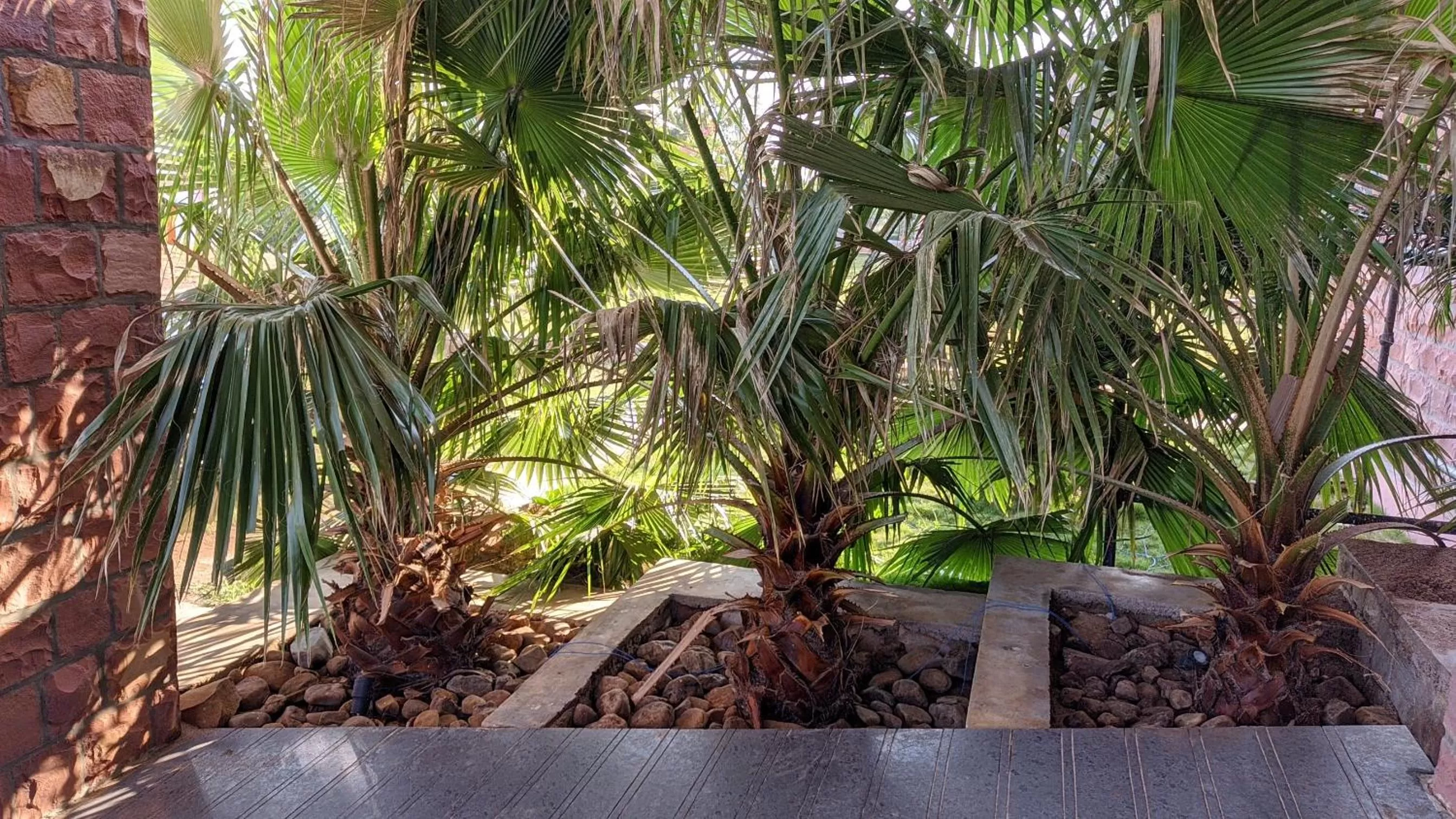 Garden in Kanthi Resorts Badami