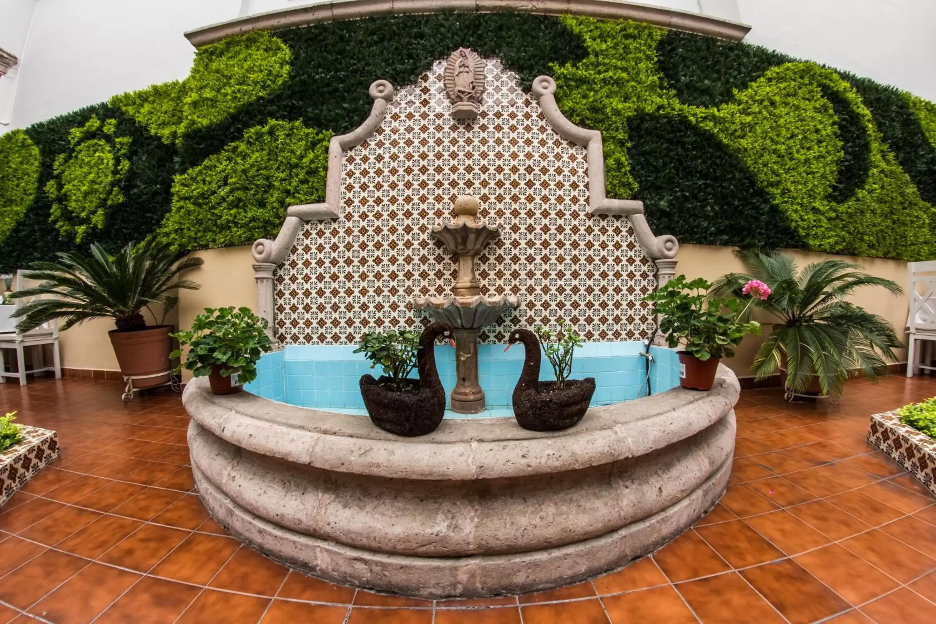 Patio in Casa Jose Maria