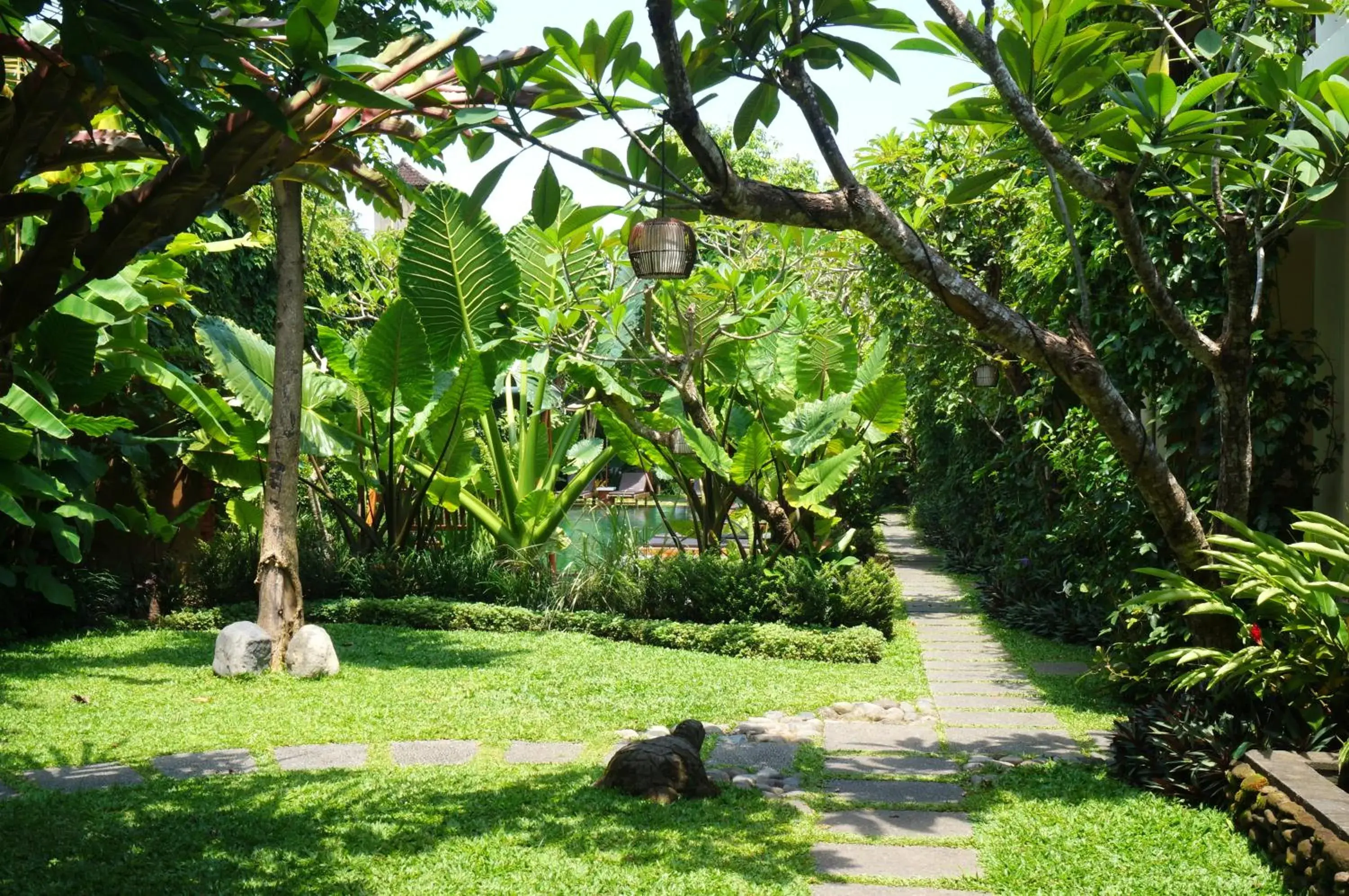 Natural landscape, Garden in Sapodilla Ubud