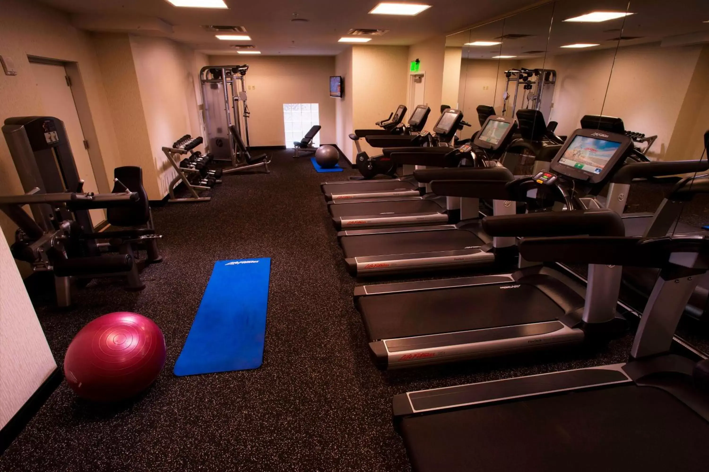 Fitness centre/facilities, Fitness Center/Facilities in Milwaukee Marriott Downtown