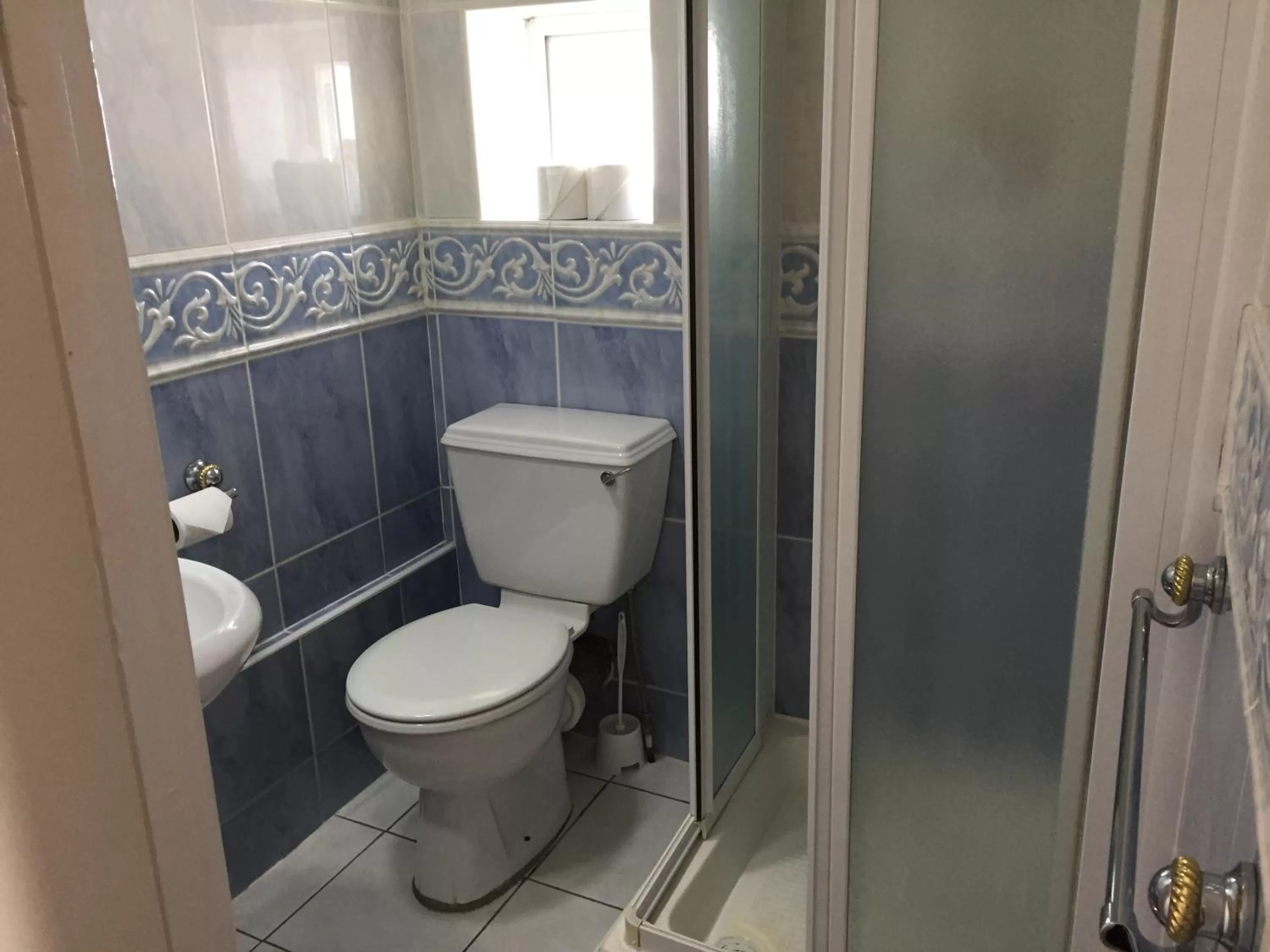 Shower in The Ashleigh - Dog Friendly