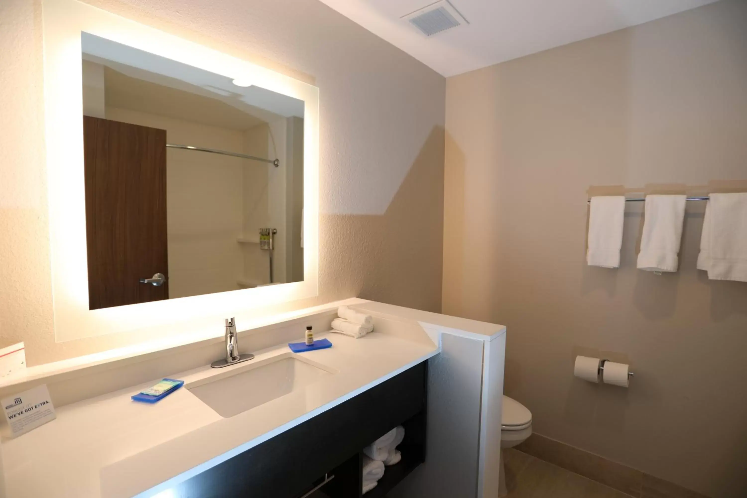Bathroom in Holiday Inn Express & Suites - Forney, an IHG Hotel