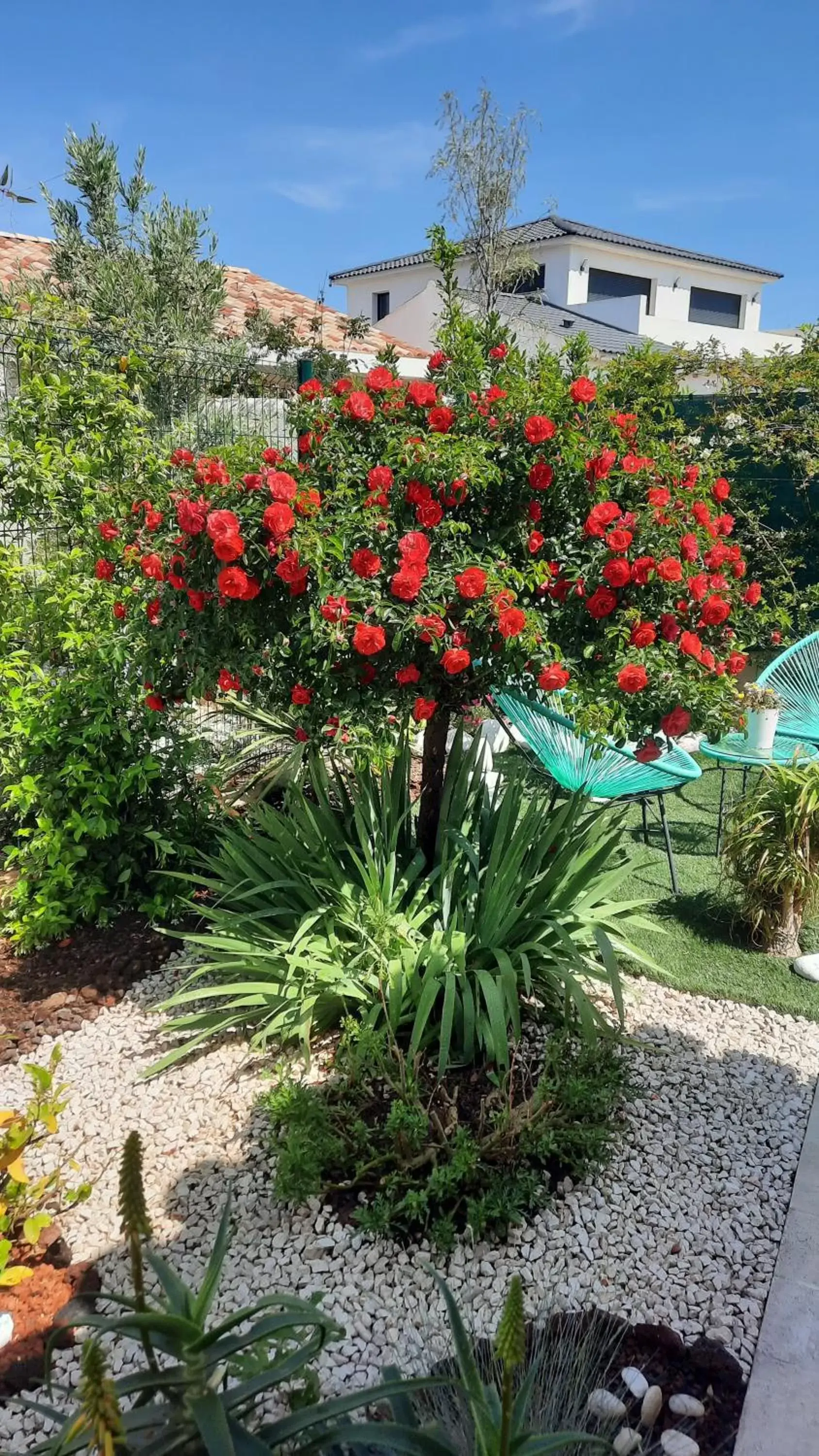 Garden in Chambre d'hôtes dans Villa Diane